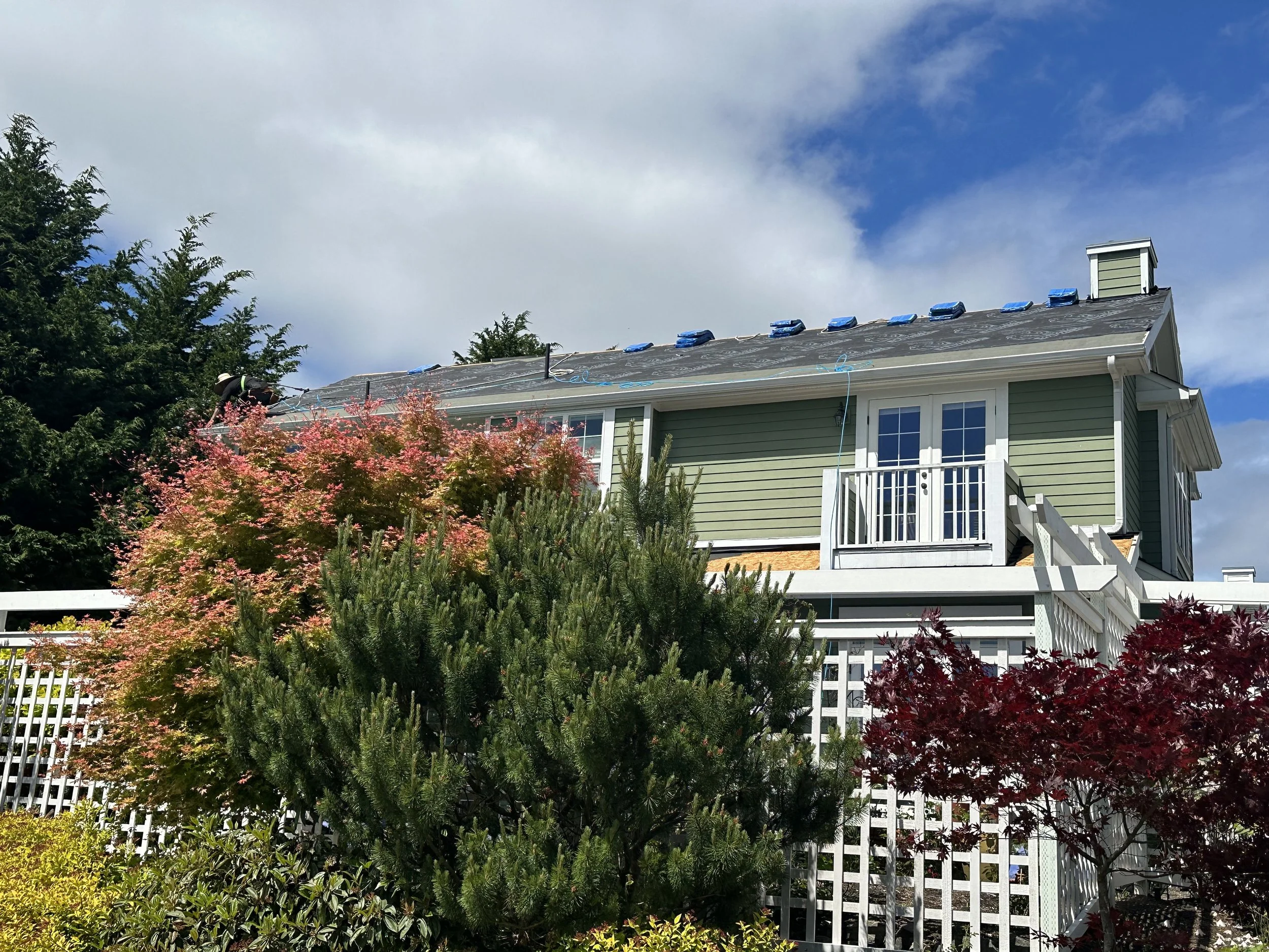 A house with a green exterior, white balcony, and a roof under construction with blue tarps and working people. The house is surrounded by trees and plants with pink and green foliage under a partly cloudy sky.