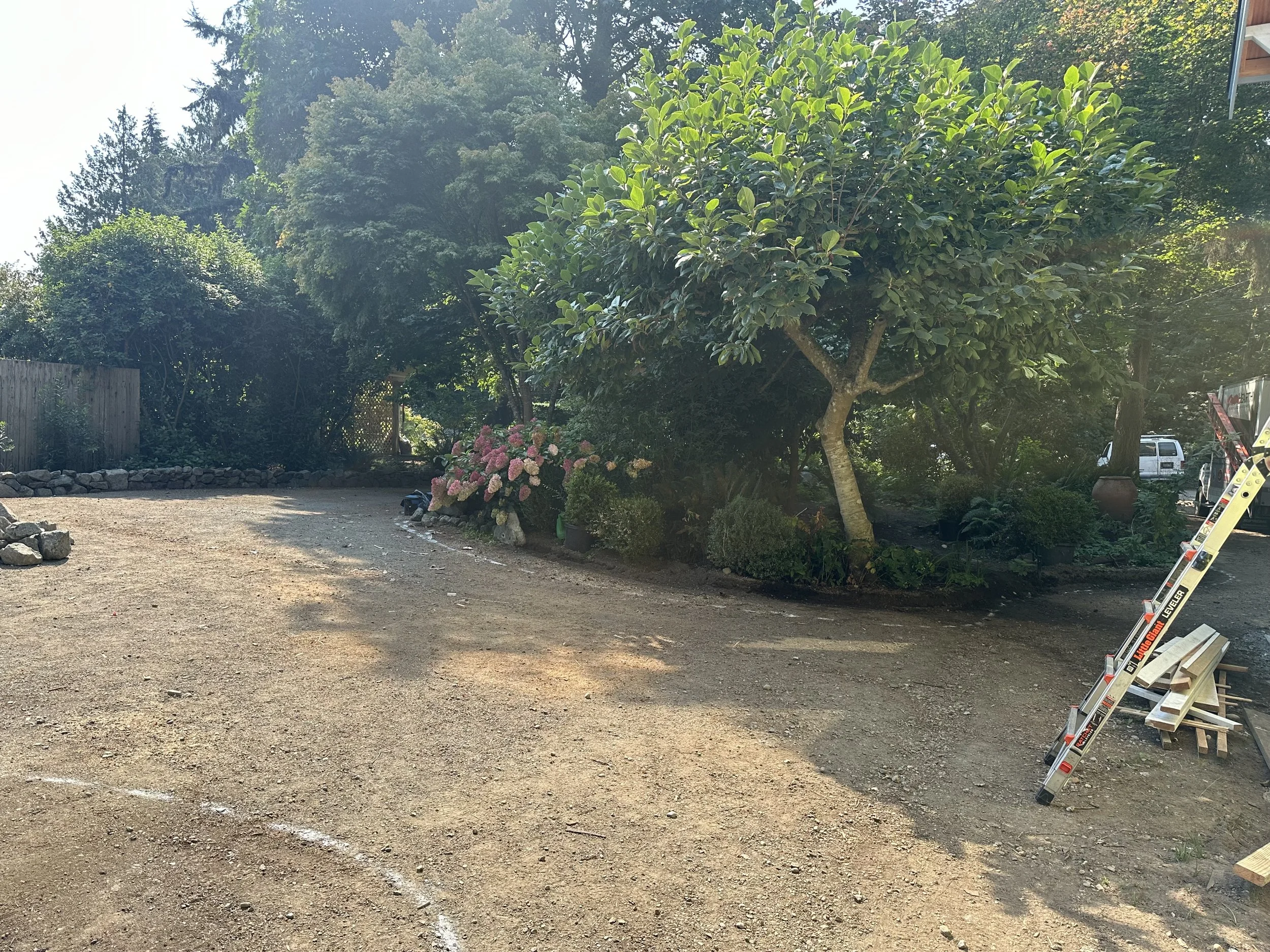 An outdoor scene with a tree, some bushes, and flowers, with a gravel ground. There are parking cars partially visible in the background, along with a ladder and some construction materials on the right side.