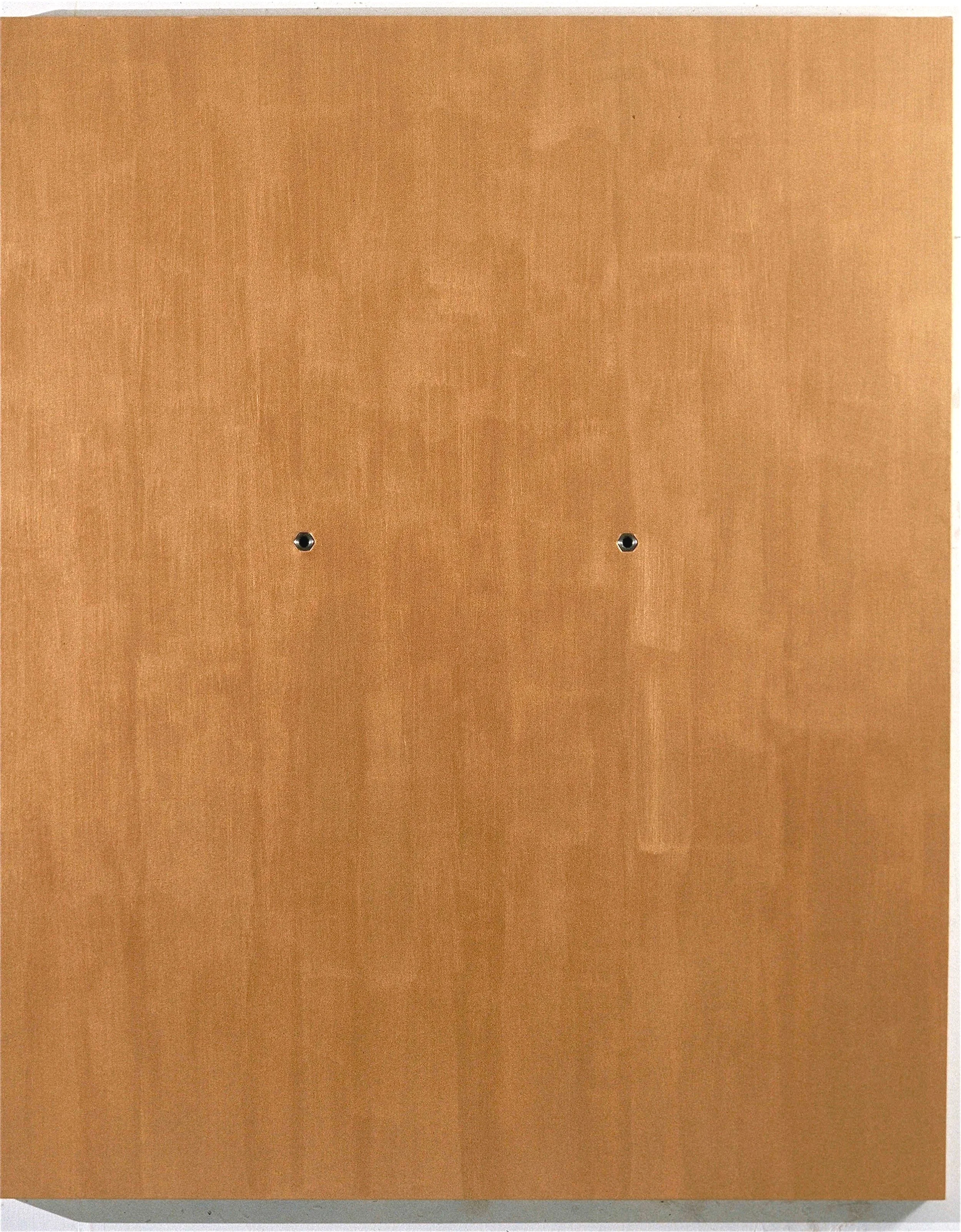 Close-up of a light brown wooden surface with two small screws.