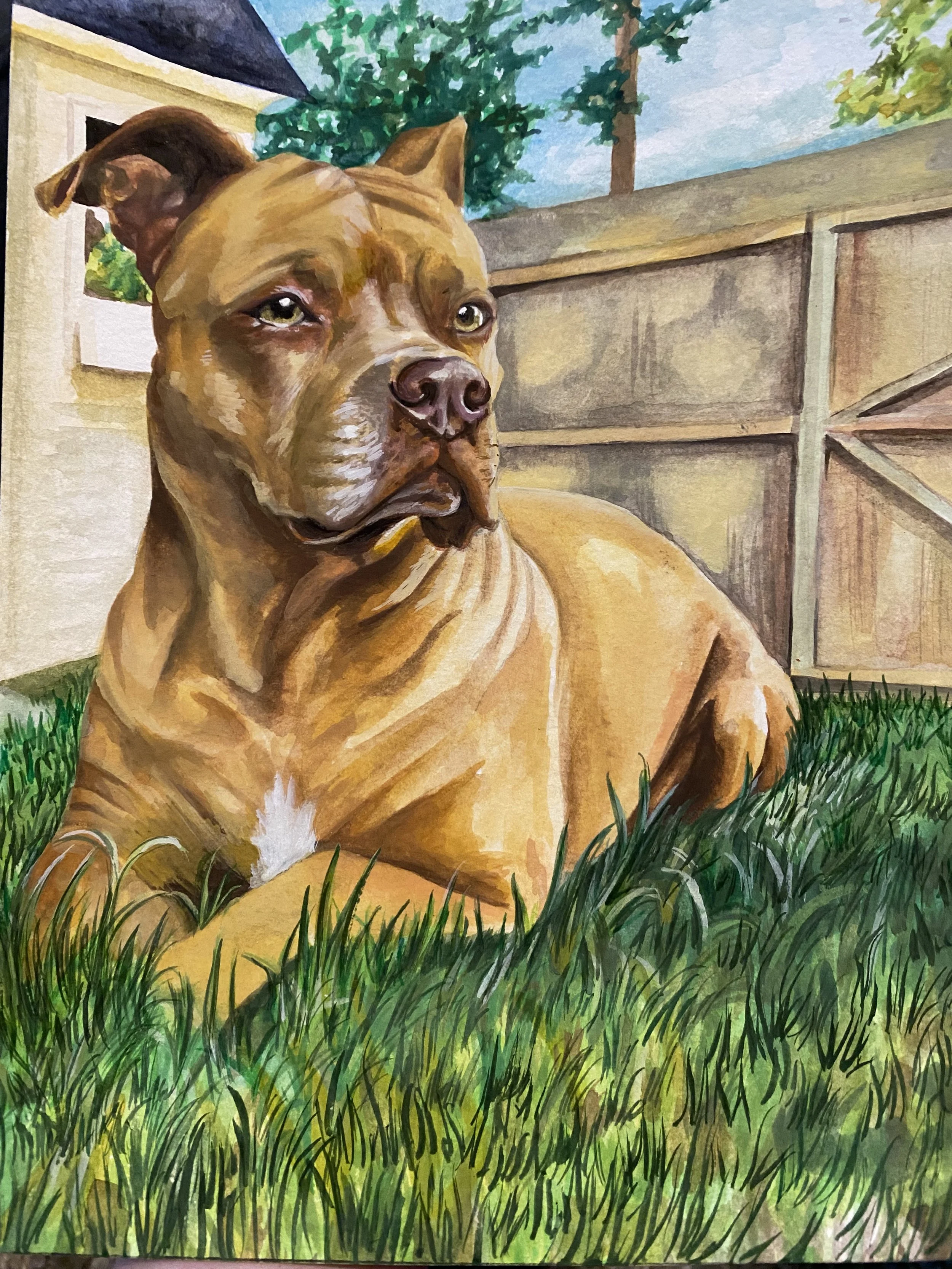 Watercolor painting of a brown dog with a white patch on its chest, lying on green grass in a backyard. The dog is looking slightly to the right, with a fence and trees in the background.