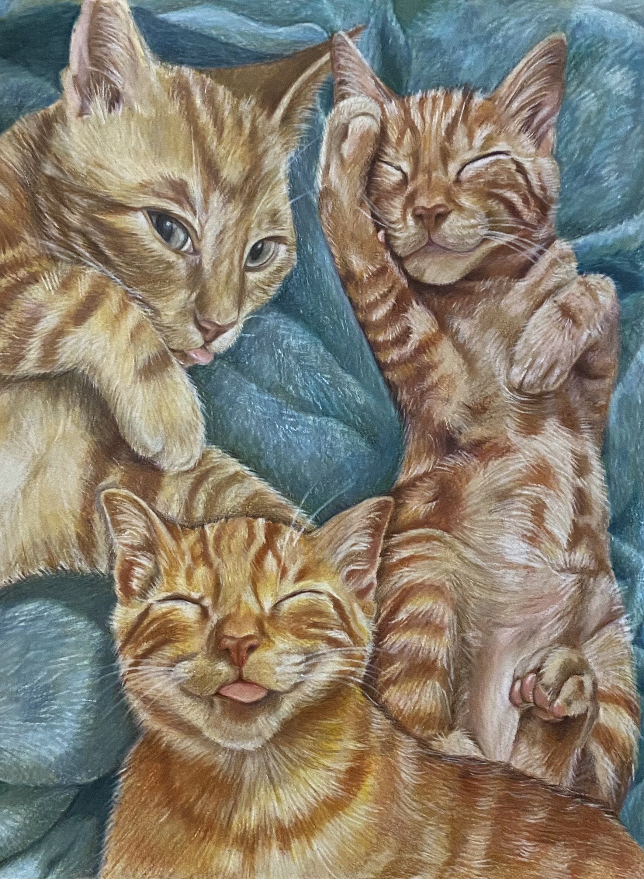  
    Jax: A Portrait Study  
   2023 
   Colored Pencil on Paper 
   8 x 10 in. 
 

 
  .artwork-caption {
    text-align: left;
    padding-top: 10px;
    font-family: inherit; 
  }
  .artwork-caption p {
    margin: 4px 0; 
    line-height: 1;
  }