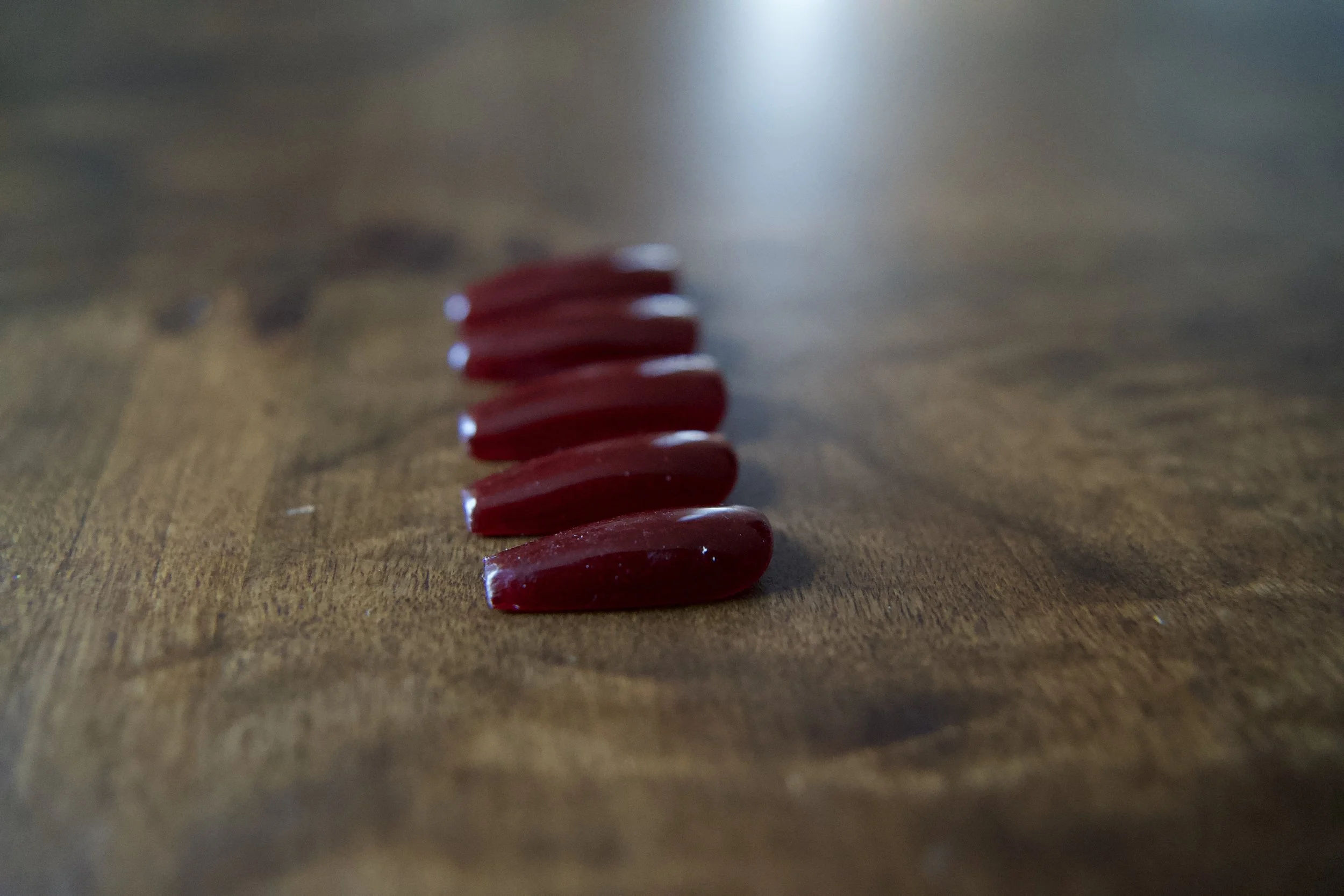 DSC01573.jpeg