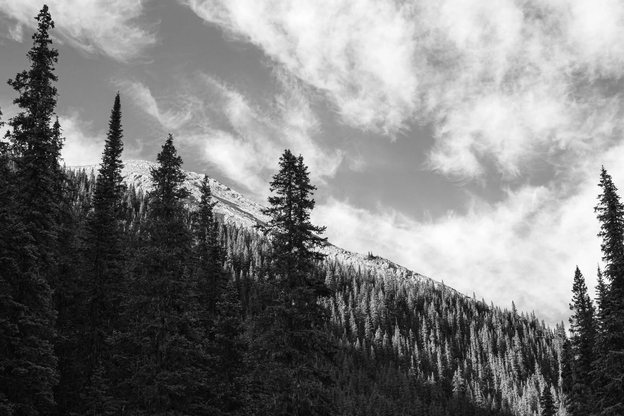 IMG_7357.JPG