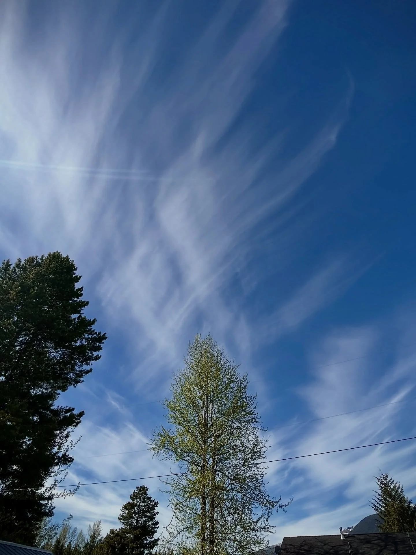 One of those moments when I wish I had my real camera.

But sometimes it&rsquo;s nice to just soak it in and enjoy the company you&rsquo;re with.

#valemount #cirrus #cloudscape #littlemoments #patioweather