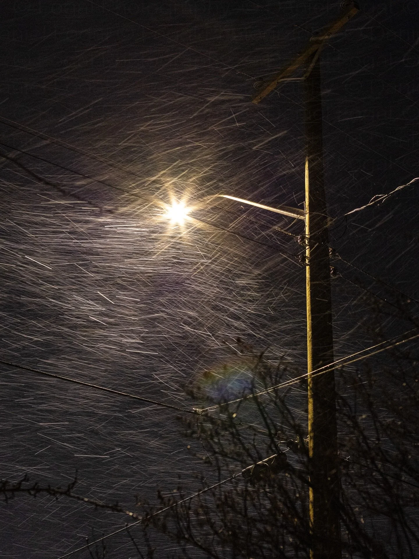 Spring Storm
&bull;
Nothing like snow, gale force winds, power outages, and blow over fences to remind that we are frail beings.
&bull;
&bull;
&bull;
#robsonvalley #valemount #winterstorm #bokehphotography #norththompson