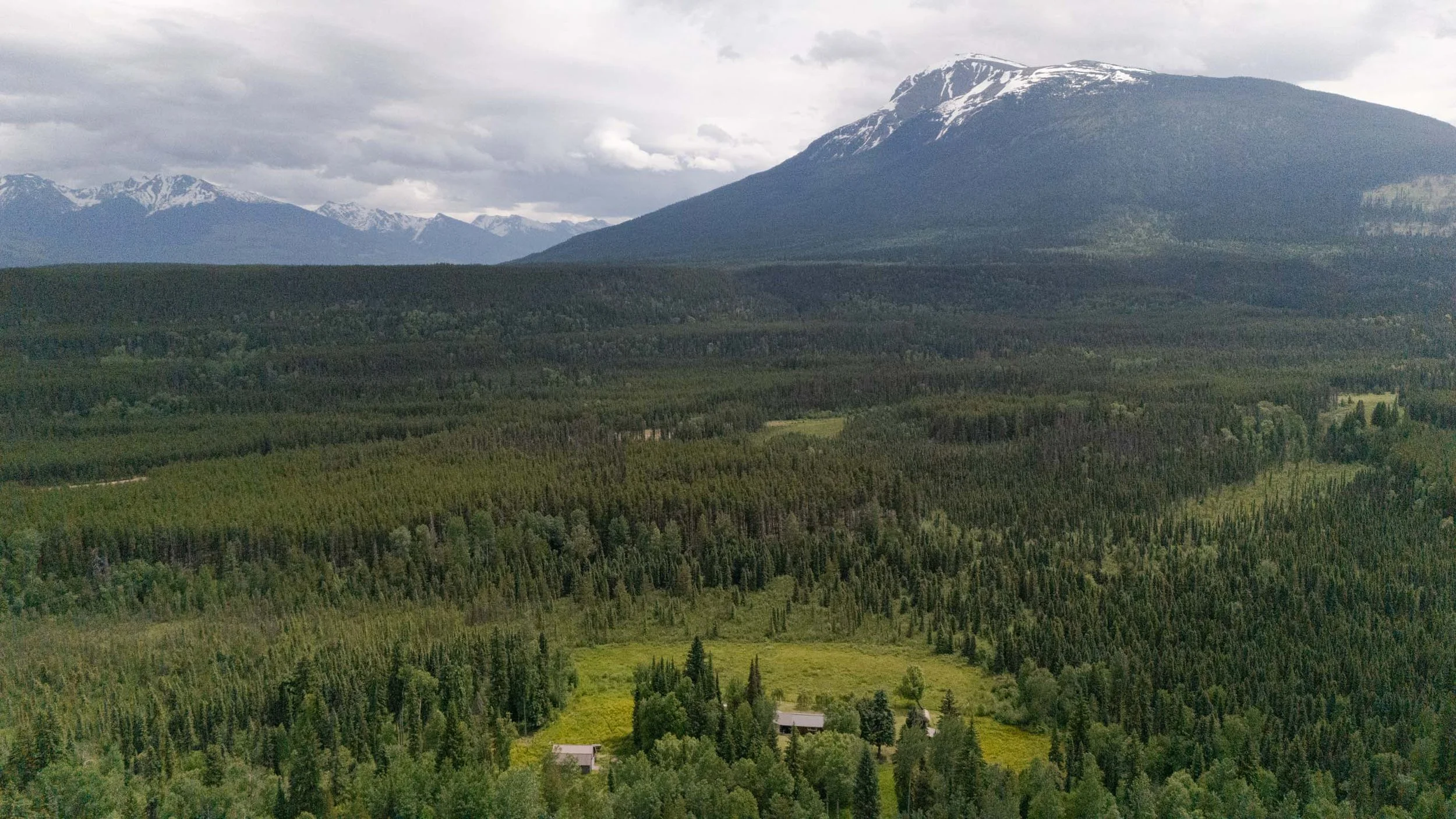 DJI_20260615135249_0617_D.JPG