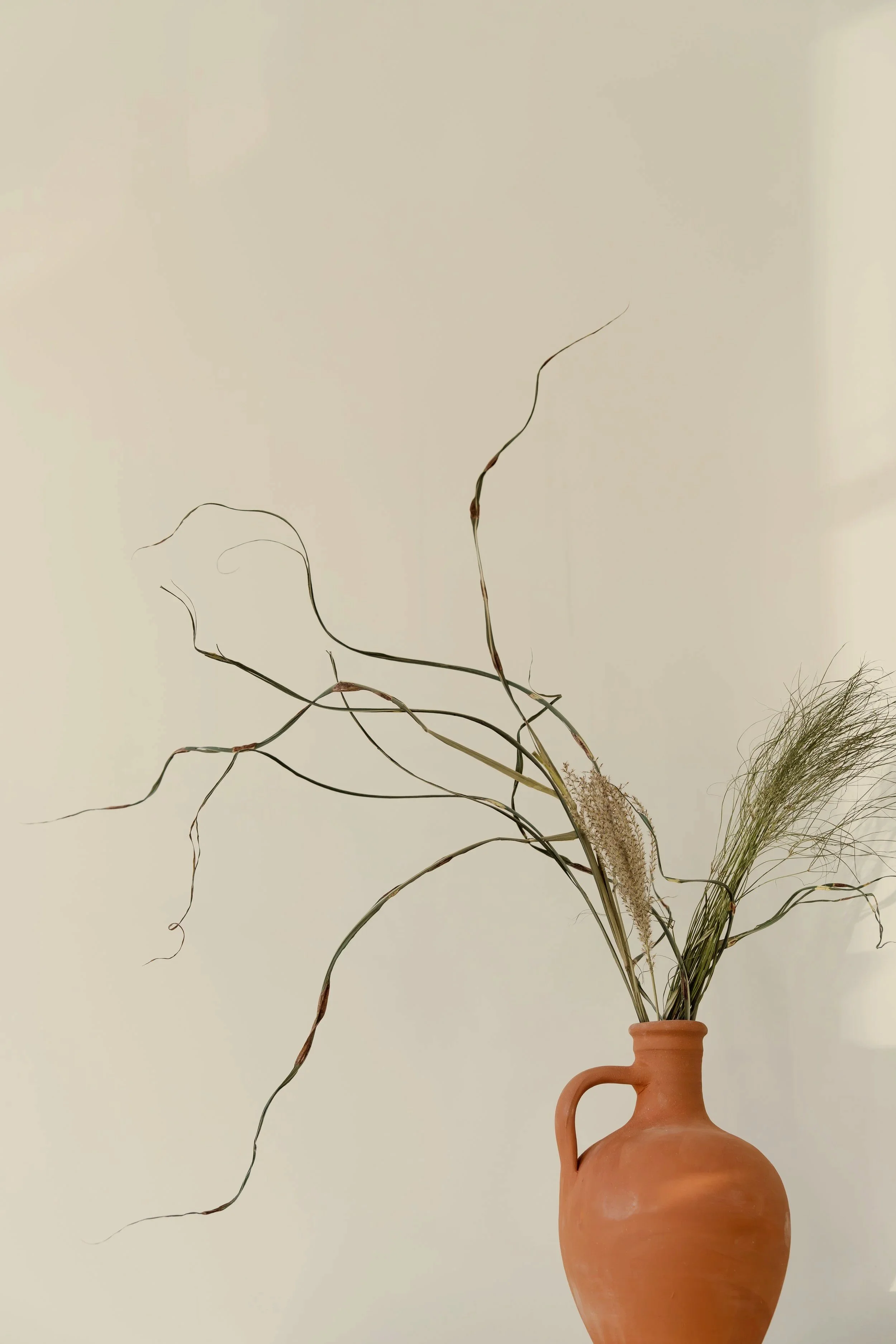 Image of a terracotta pot with minimalist foliage coming out of the top.
