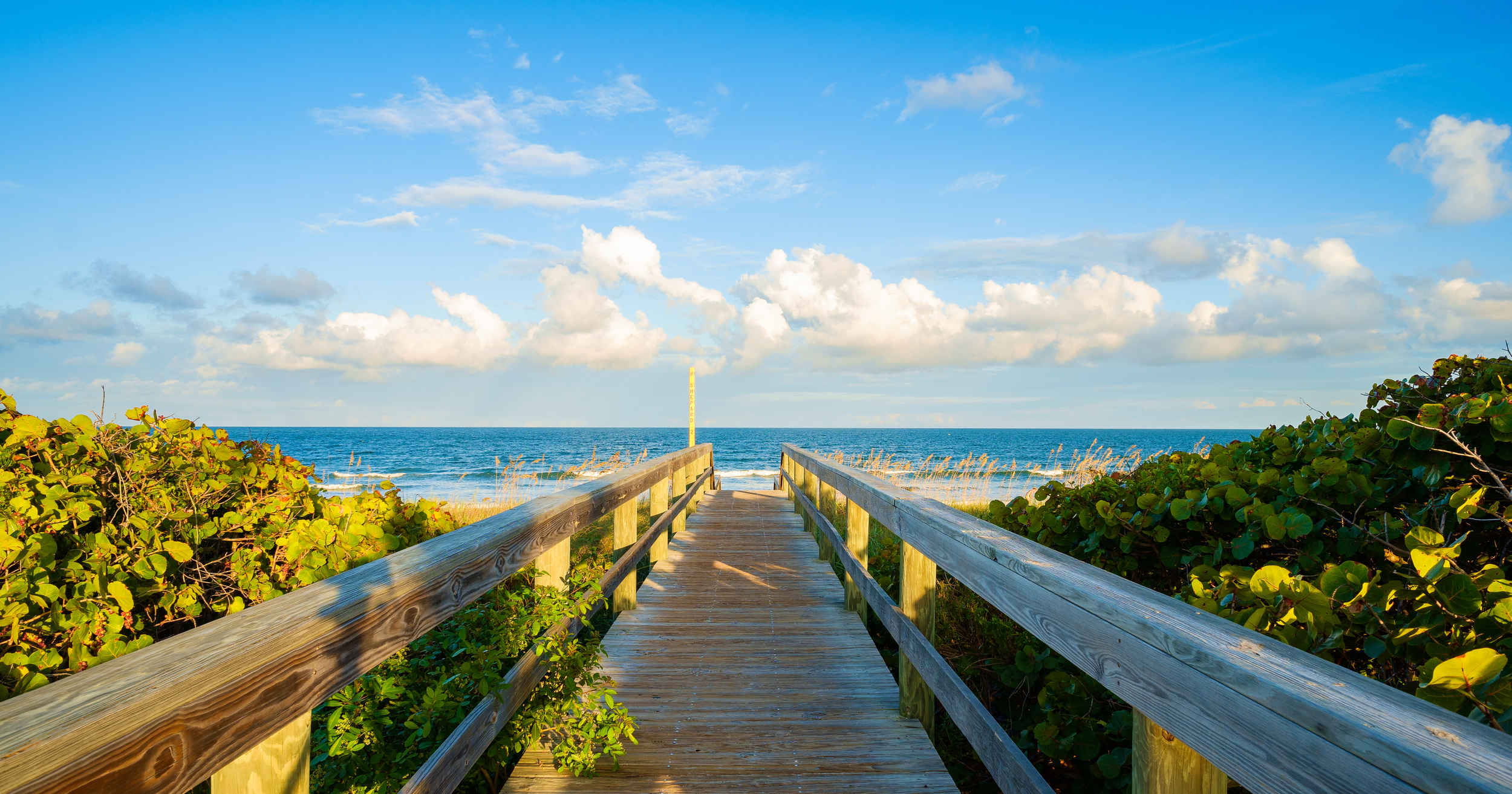 A wooden pier leading to the beach with the ocean and blue sky in the background, surrounded by green foliage.