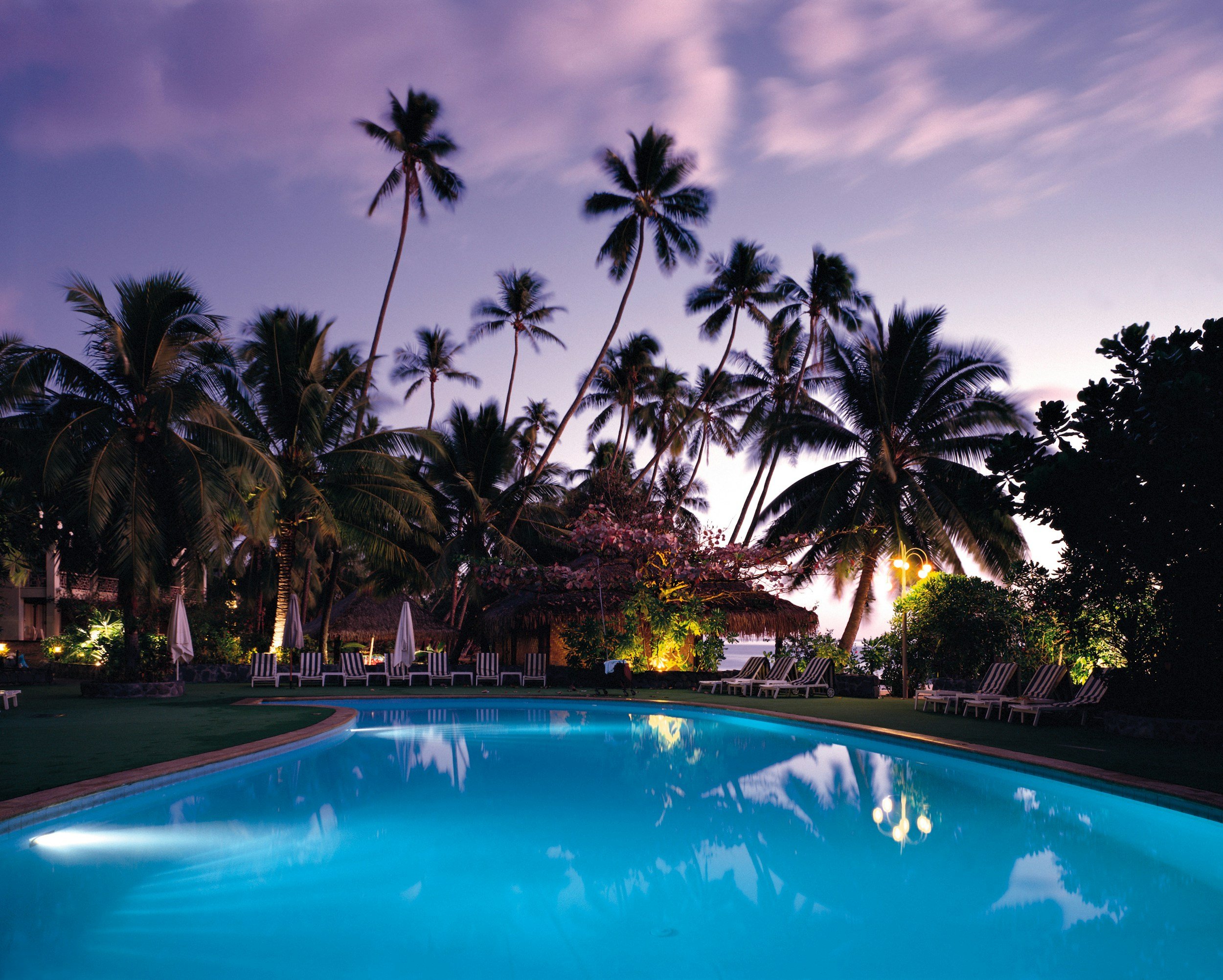 A swimming pool at dusk surrounded by lounge chairs and tropical palm trees, with a purple and pink sky and soft lighting.