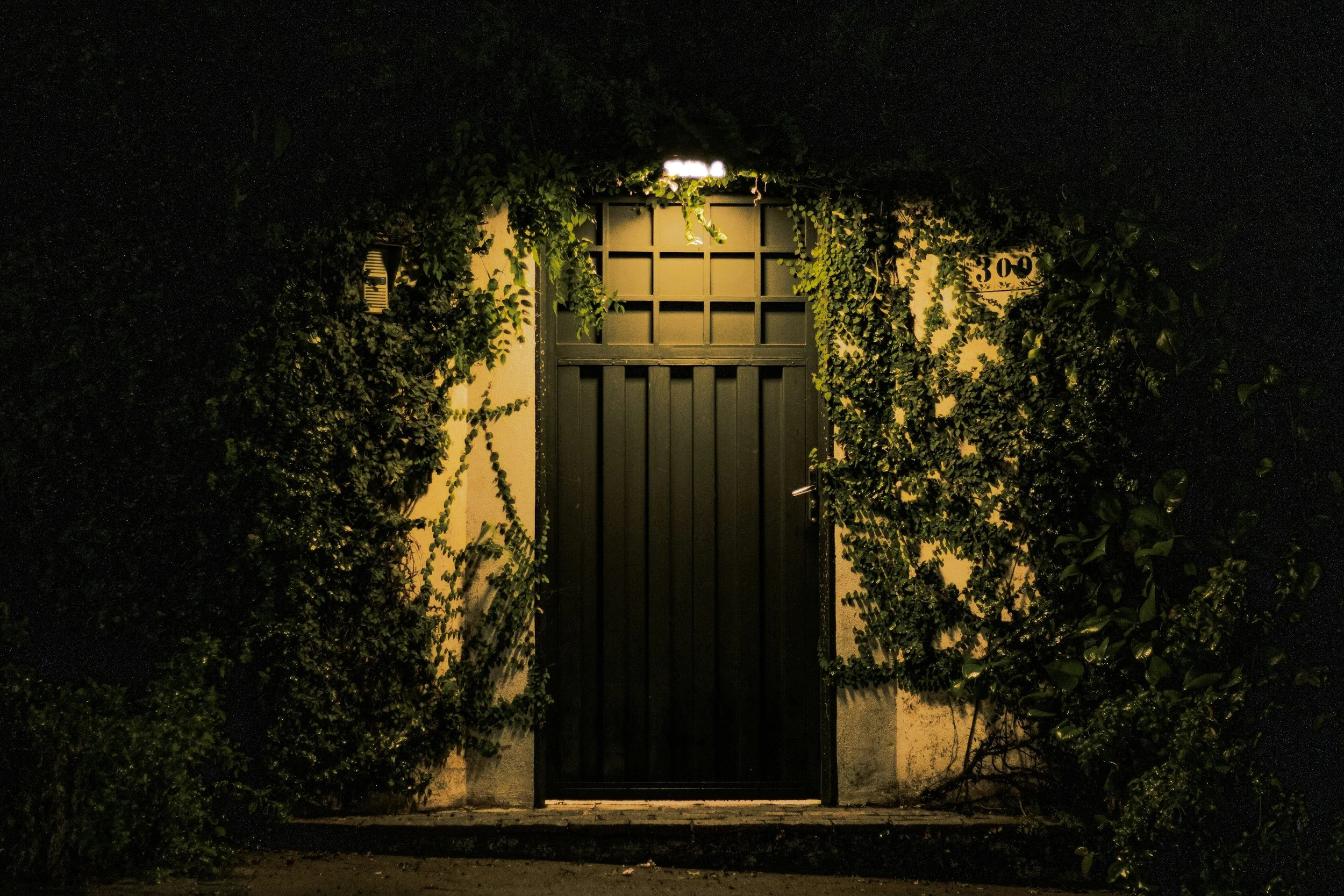 A black metal gate in a cream-colored wall, illuminated by a light above, surrounded by dense green foliage at night.