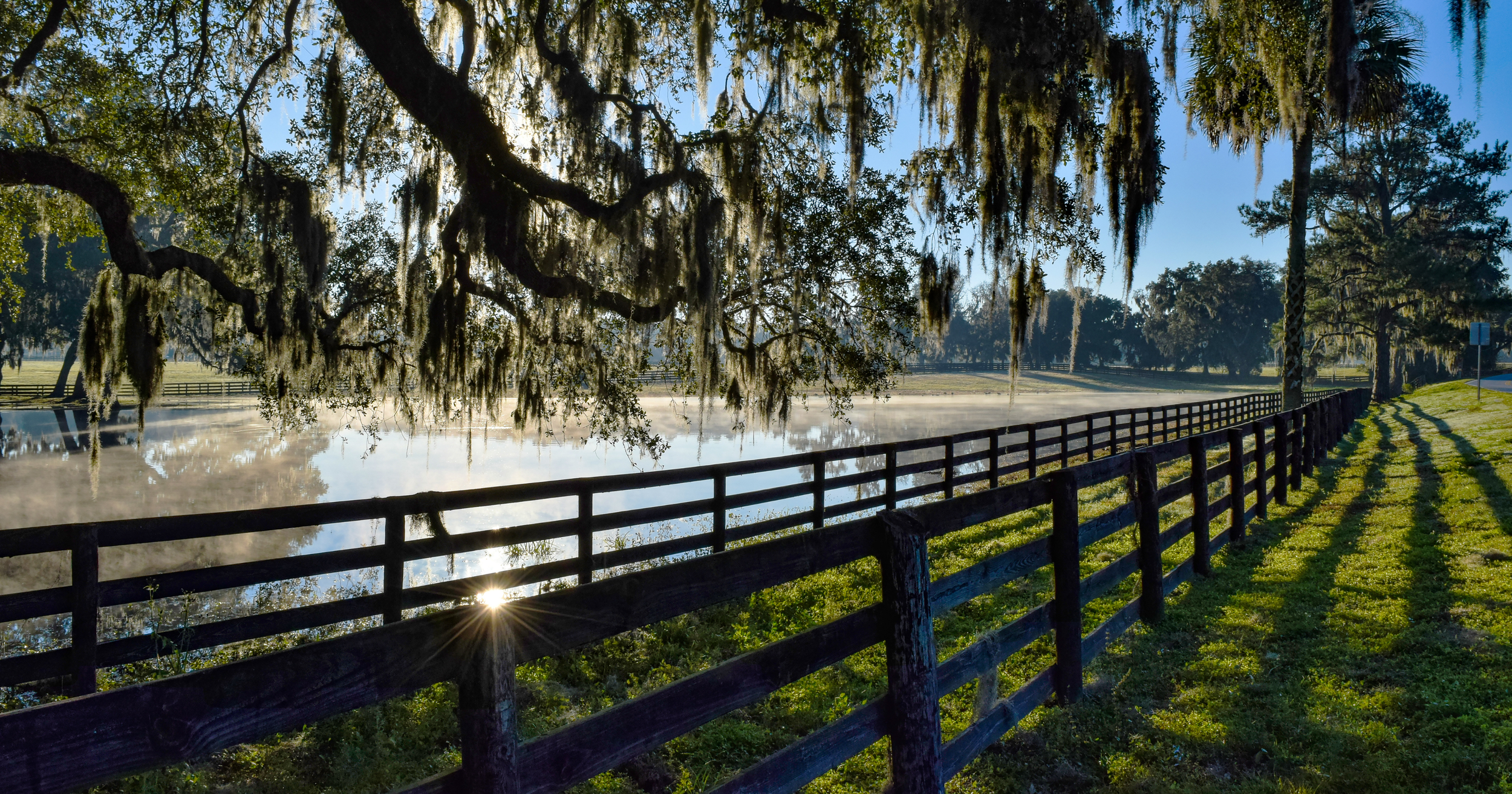 Early morning view of a river or pond with mist rising from the water, surrounded by trees with Spanish moss hanging from their branches, a wooden fence running along the shoreline, and the sun shining through the trees creating reflections on the water.