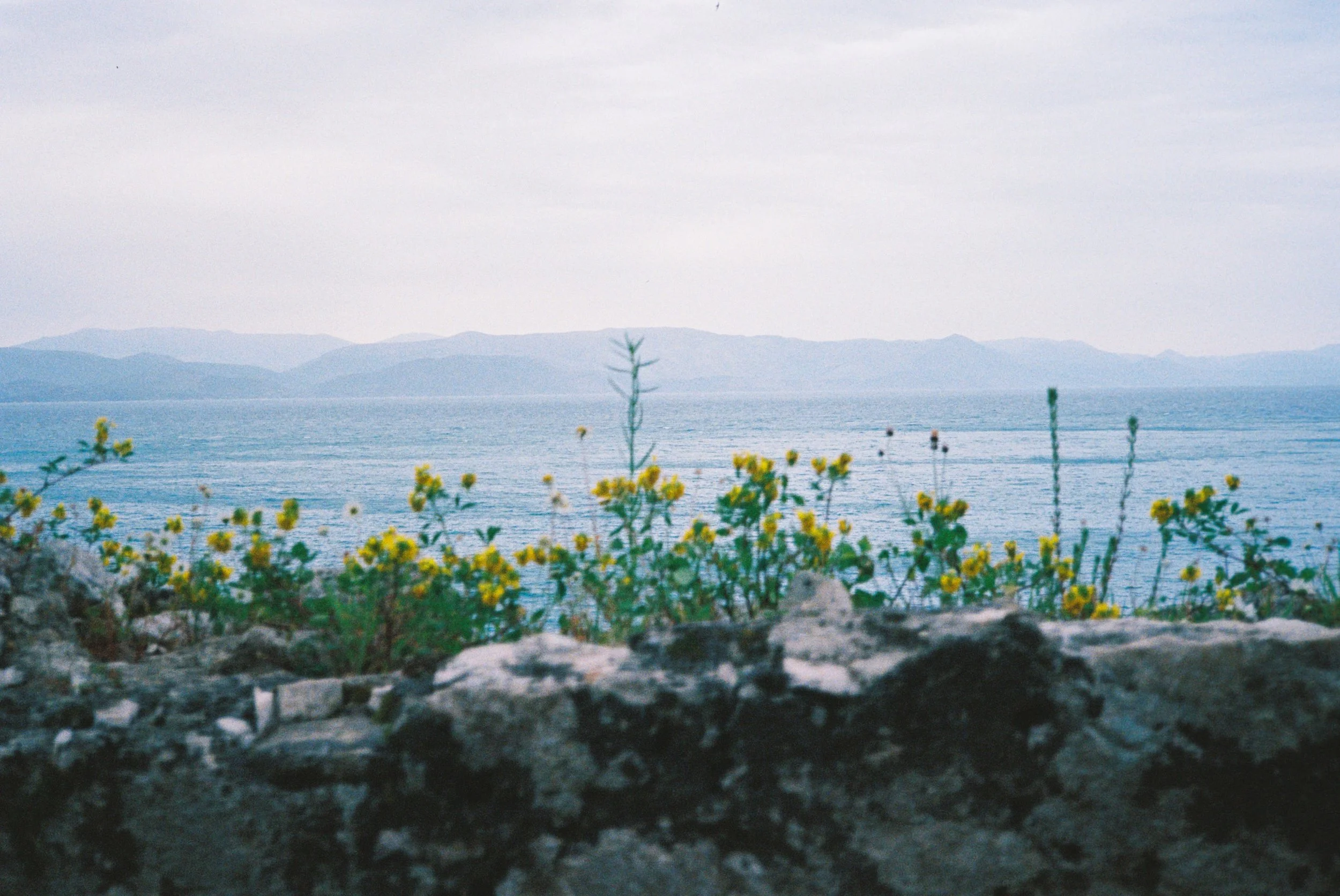 25110-1-scan-5.jpg