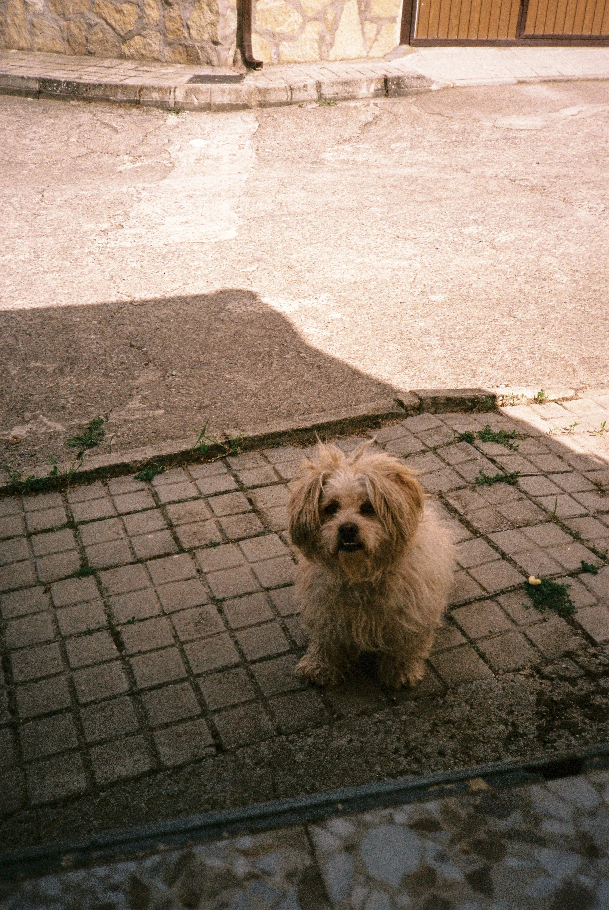 scan-20.jpg