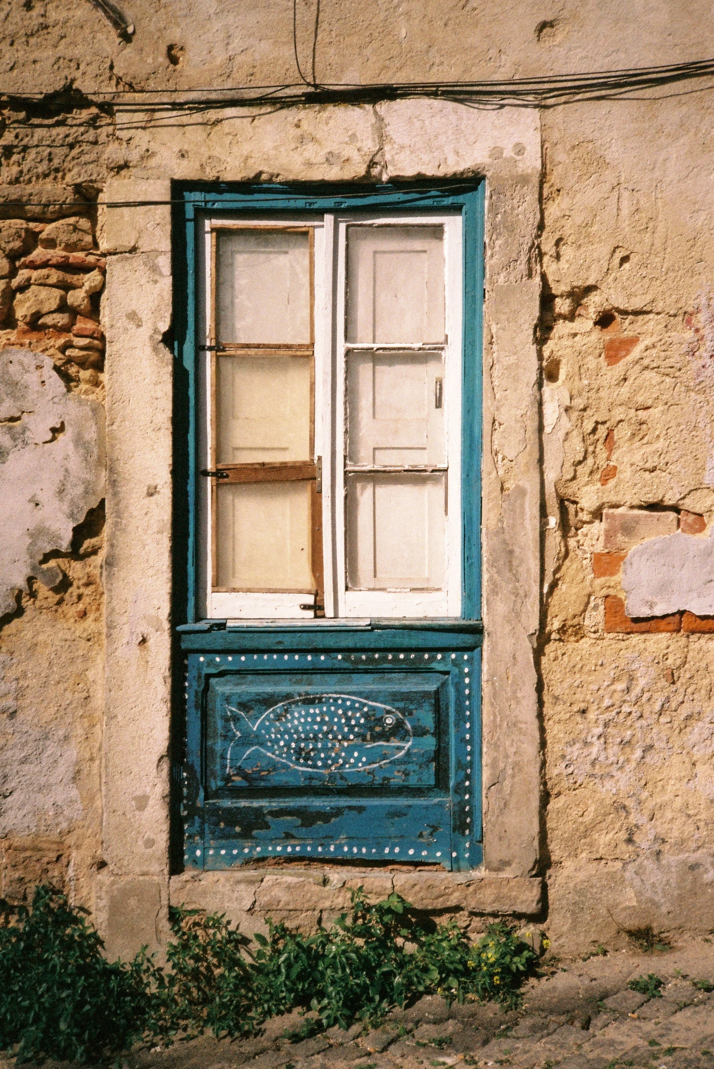 scan-35.jpg