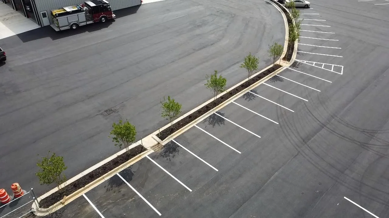 Empty parking lot with painted parking spaces, a row of small green trees, and a few vehicles near a building.