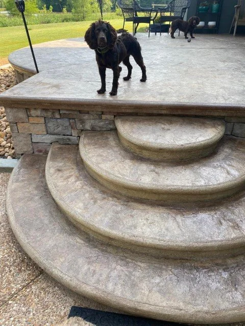 A black dog standing on the top of a stone staircase in a backyard, with another black dog in the background near outdoor furniture.