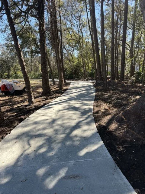 A newly paved concrete pathway winding through a wooded area with tall trees and sunlight filtering through the branches.