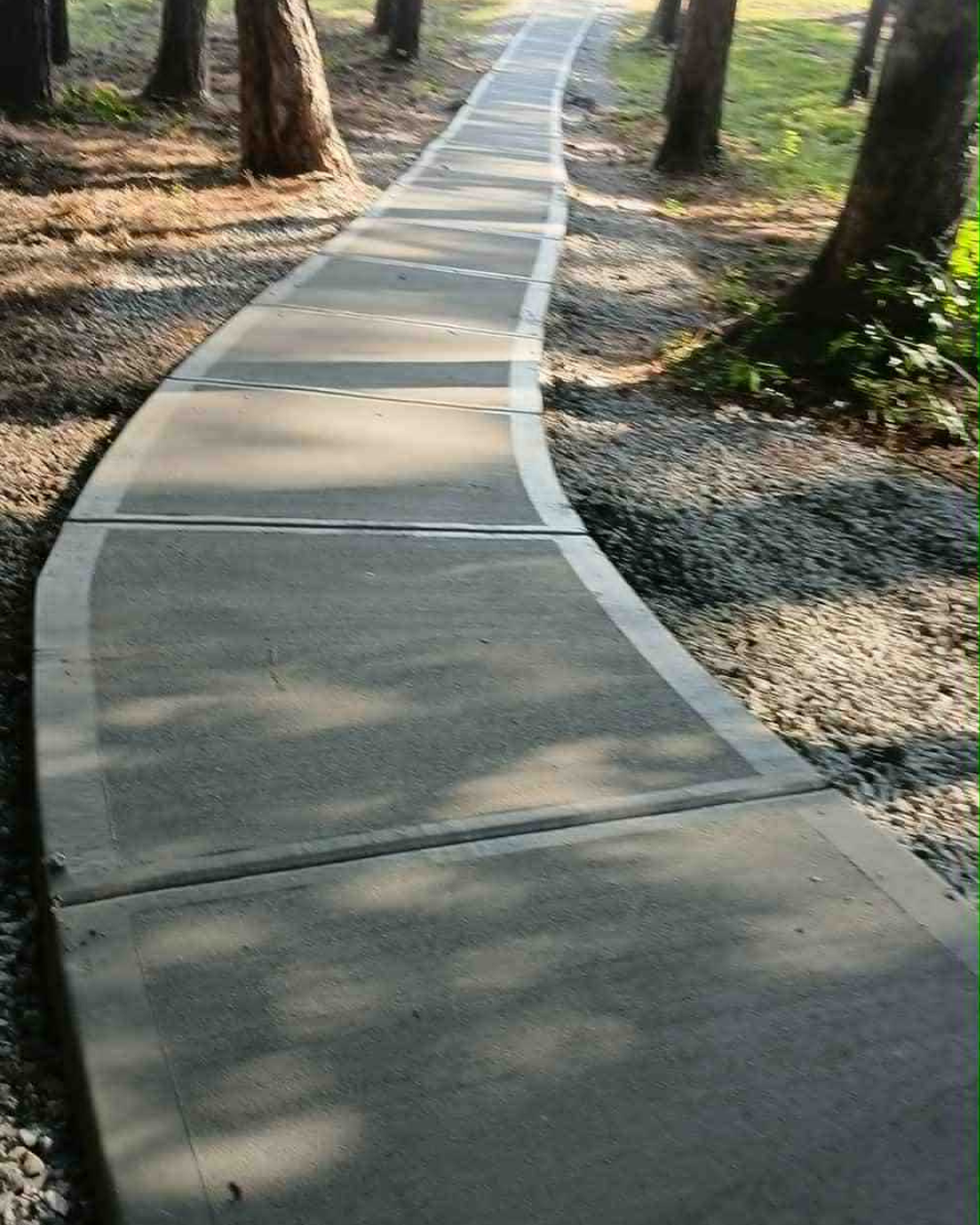 Curving concrete pathway in a wooded area with trees and sunlight casting shadows.