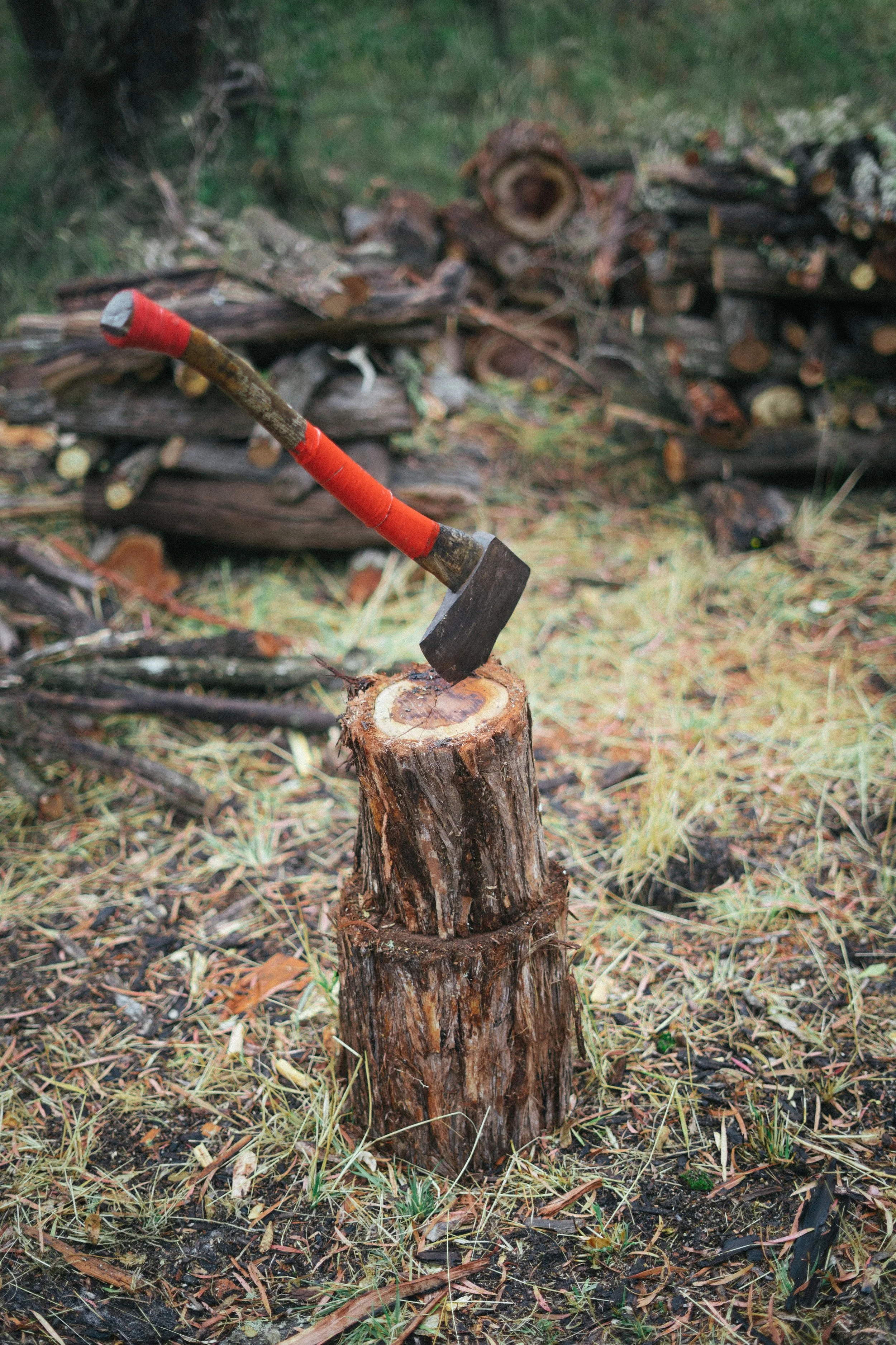 A small axe with a red handle embedded in a tree stump in an outdoor setting, with stacked firewood in the background.