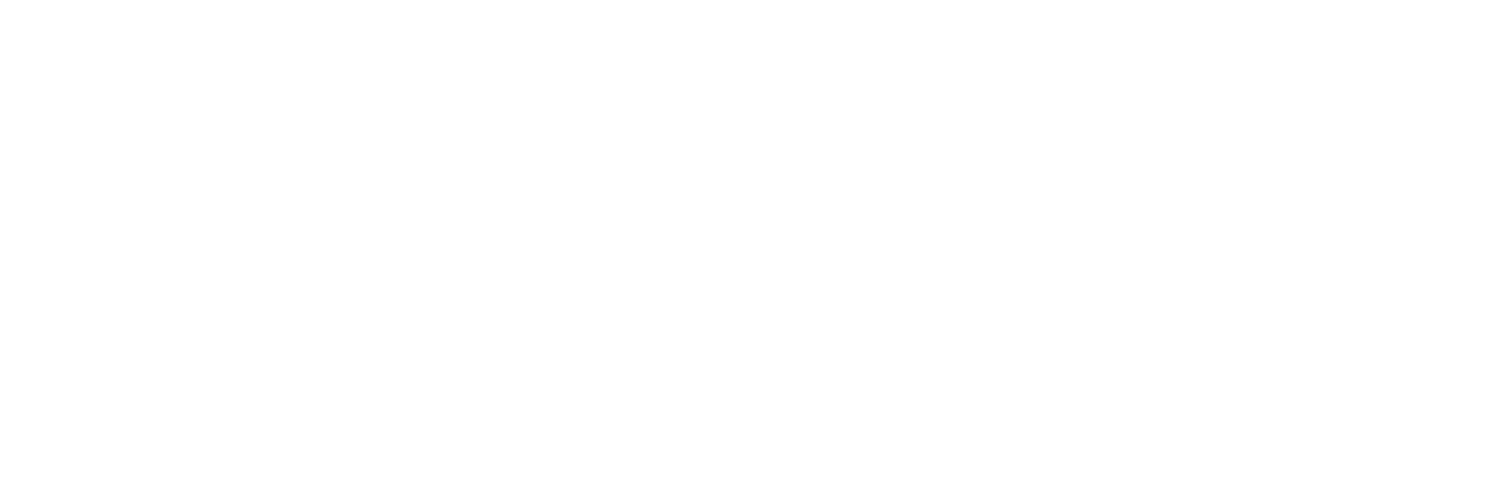 American Multitude