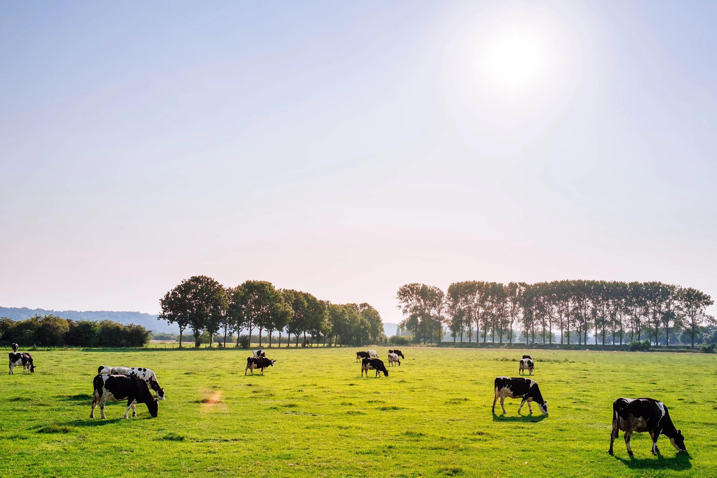 Letter To My Daughter's Teacher