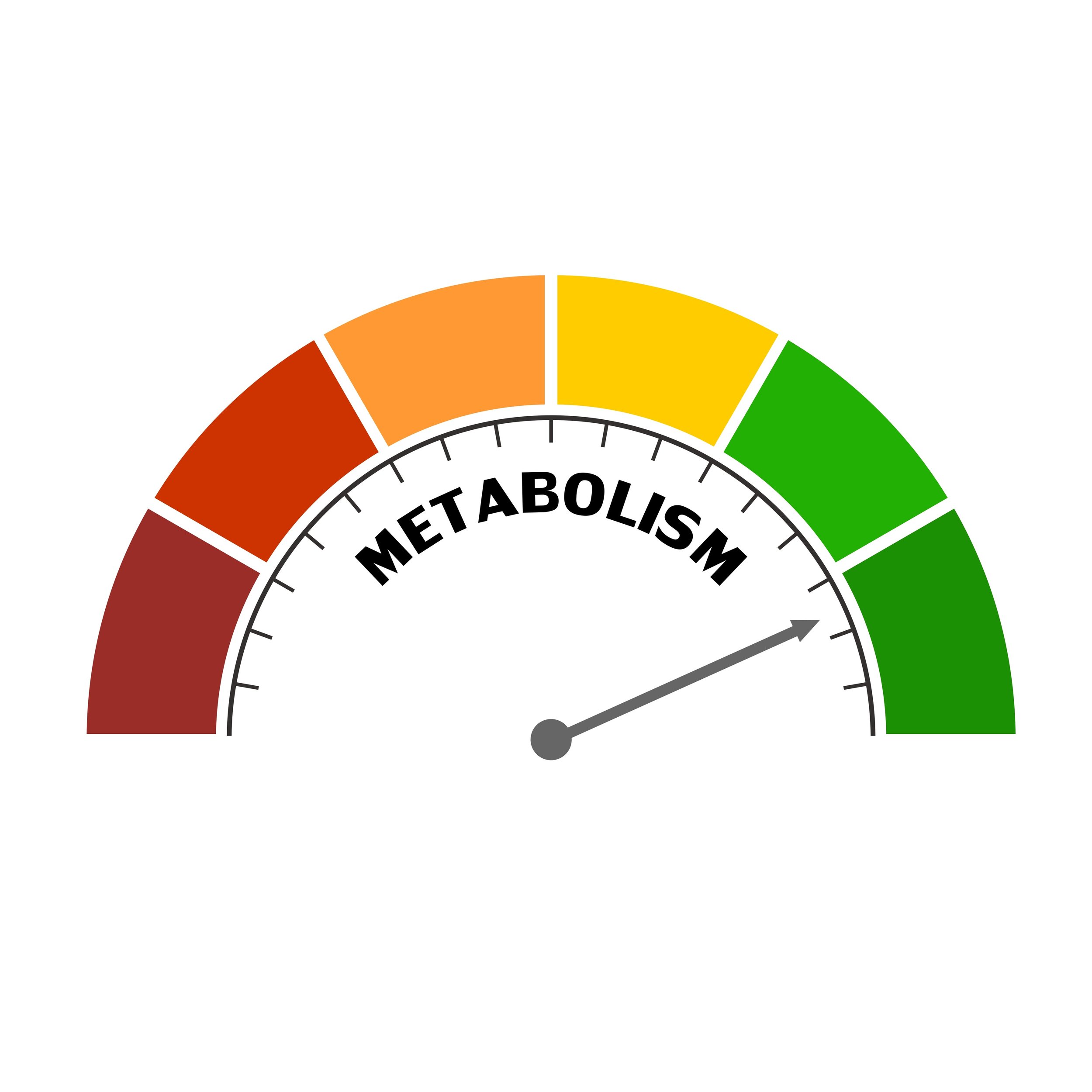 What Is the Pro-Metabolic Diet?