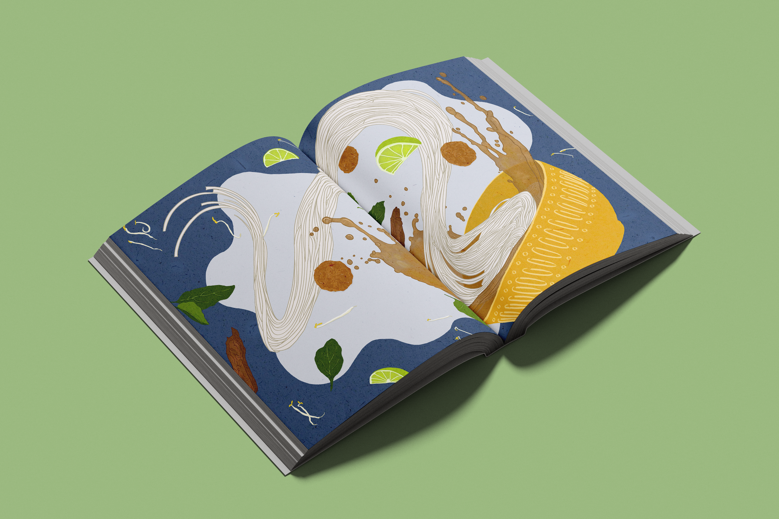 “The Classic Cuisine of Vietnam” Cookbook Illustration