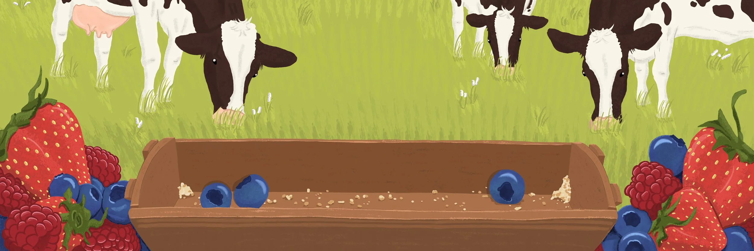GrazingCows_CathyN.jpg