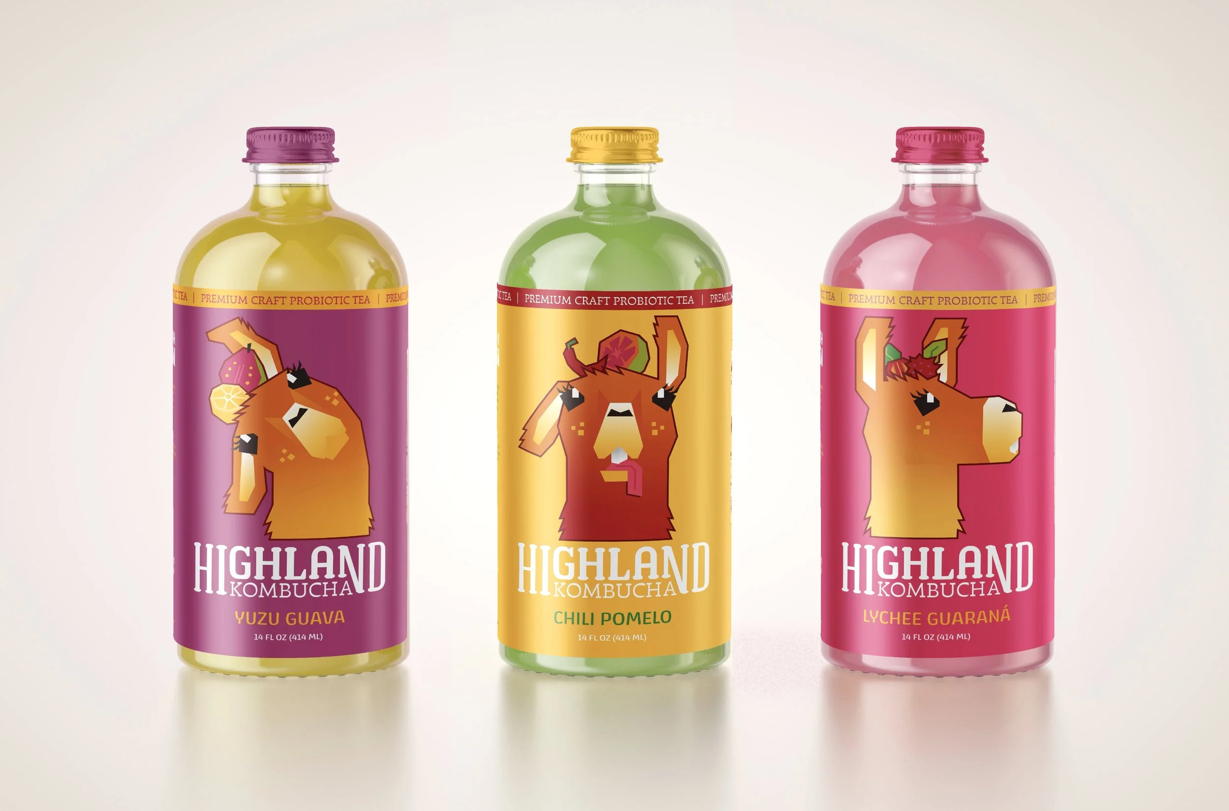 Highland Kombucha