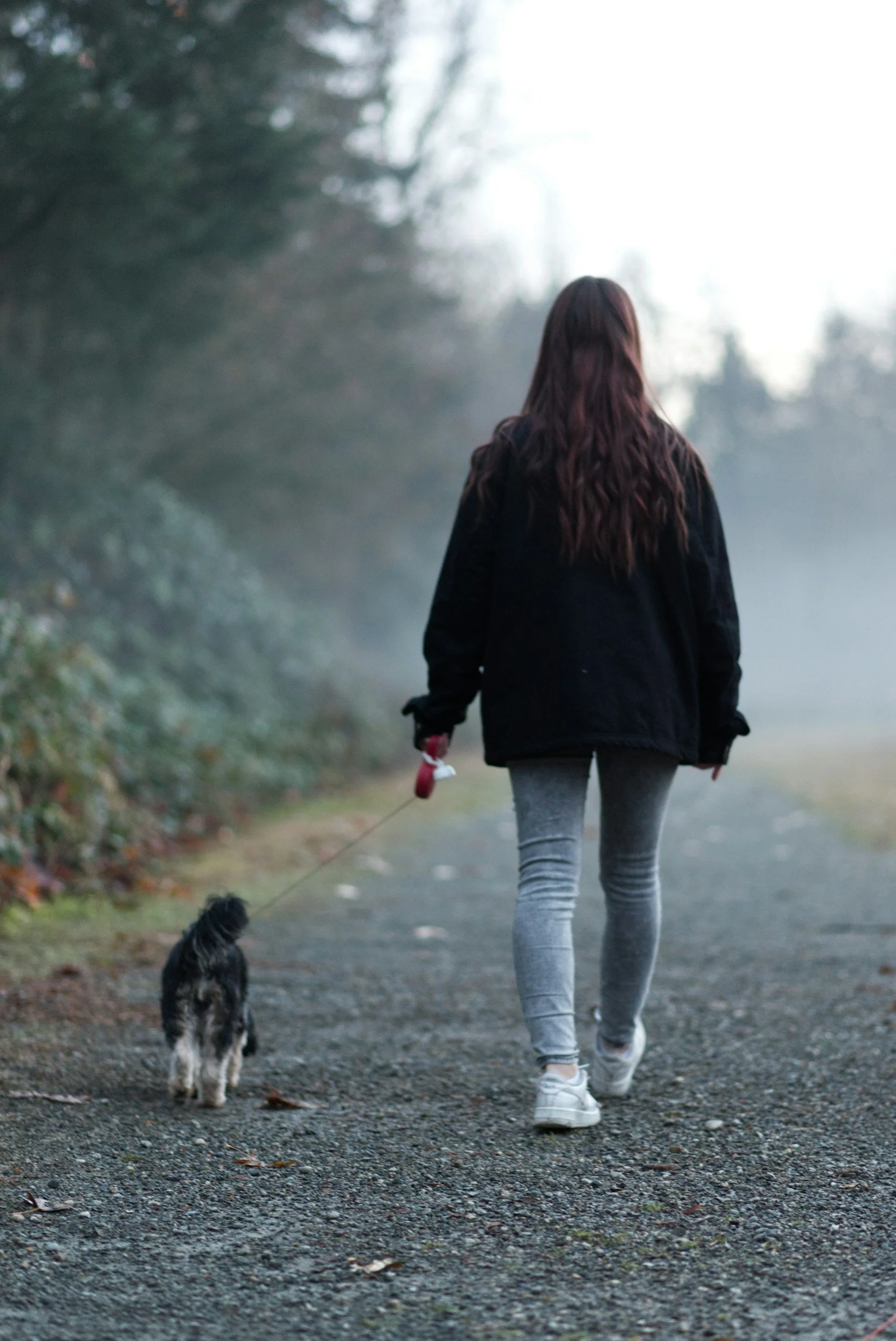 Woman walking her small dog on a foggy path through grass and trees