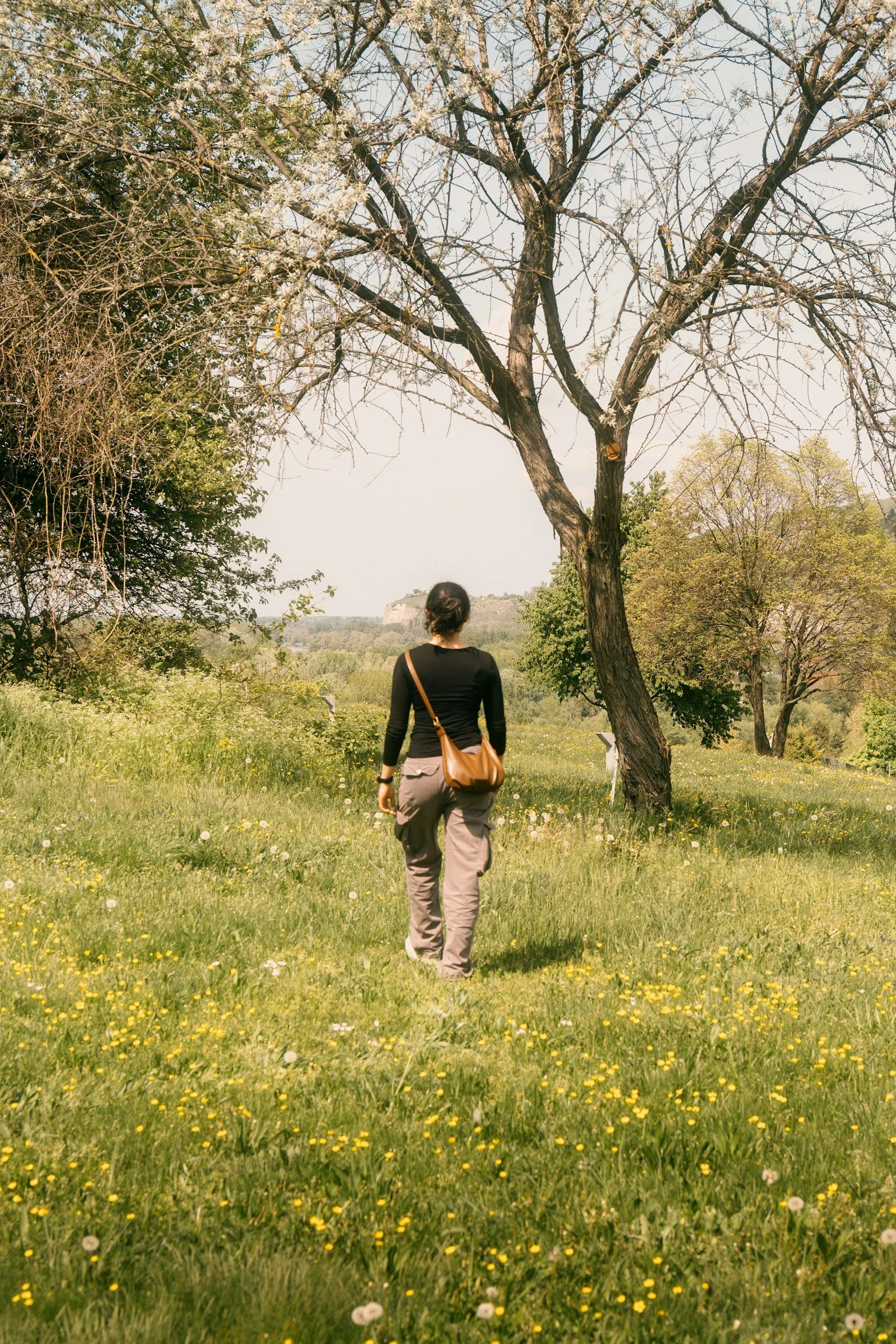 Woman walking through a sunlit grass field surrounded by trees