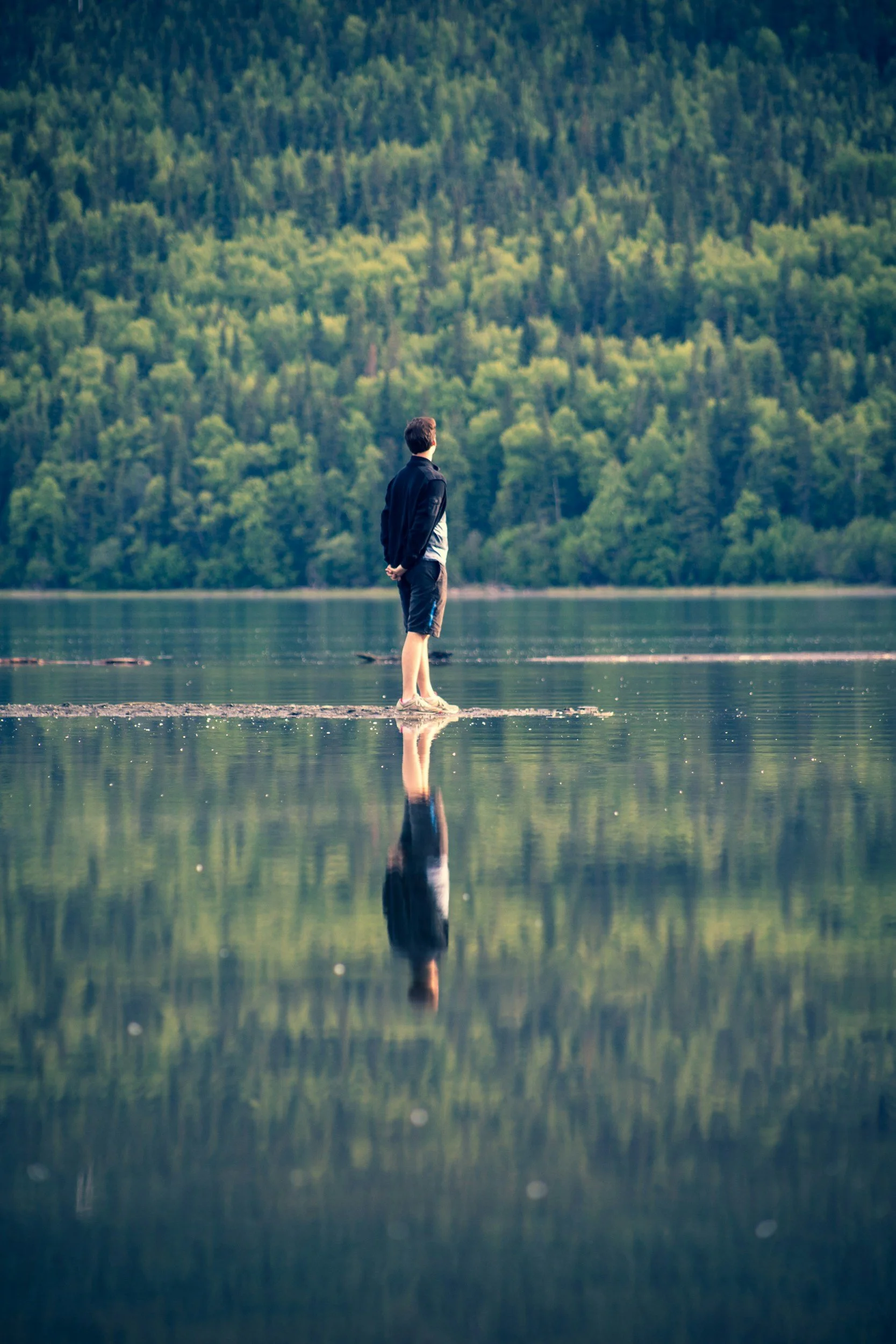 Man standing on a small patch of land surrounded by still water and mountains, looking toward the trees