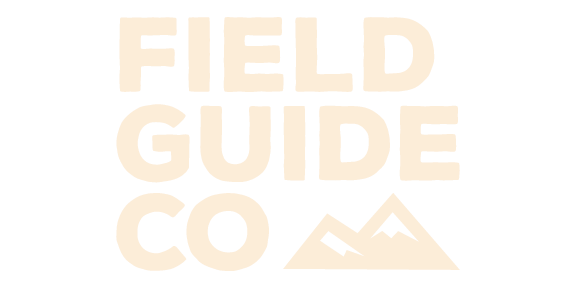 Your Site Title