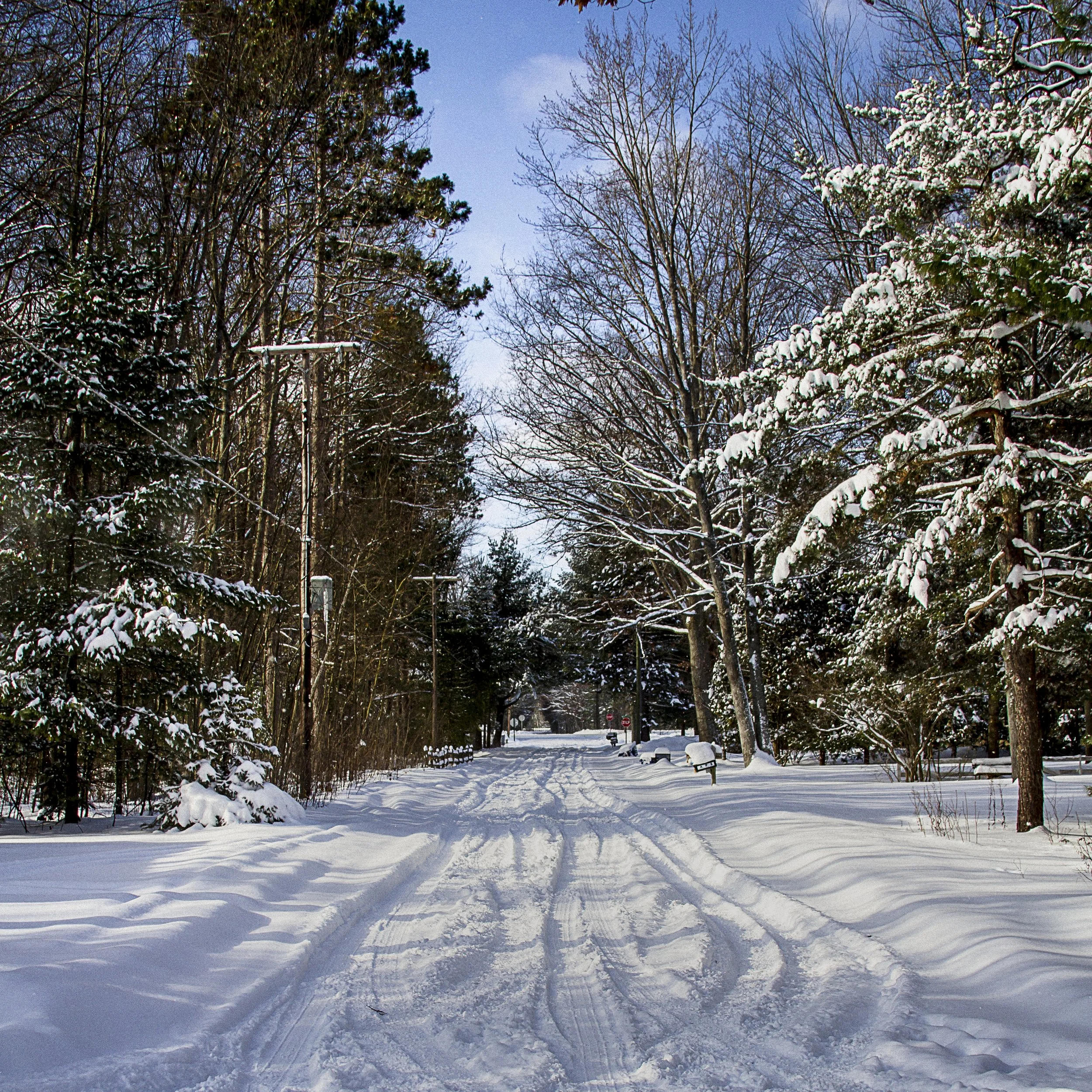 Winter Road - Higgins Lake, Michigan - 2013