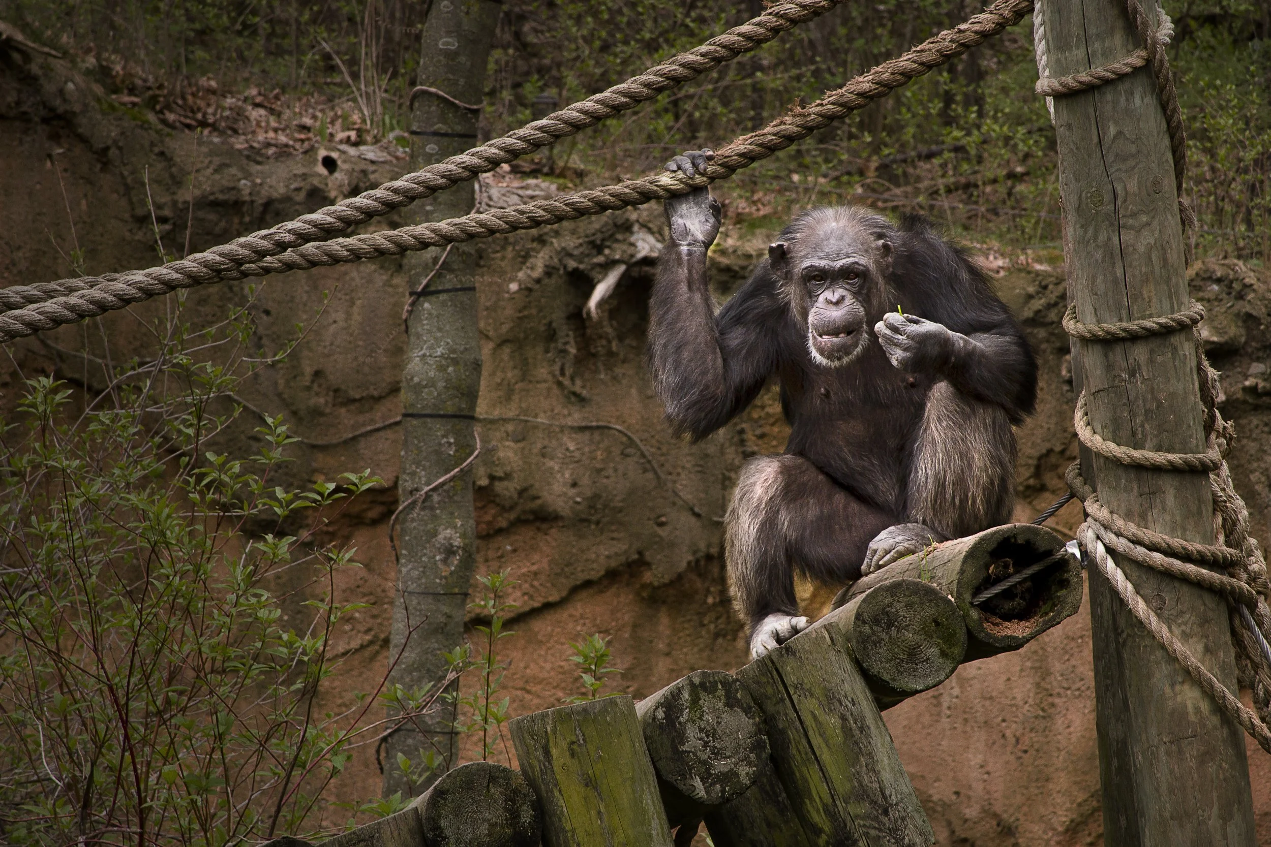 At the John Ball Zoo - Grand Rapids, Michigan - 2014