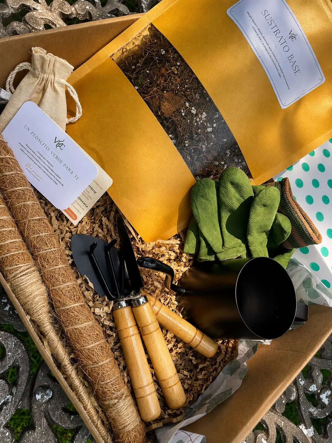Kit de Trasplante Botánico