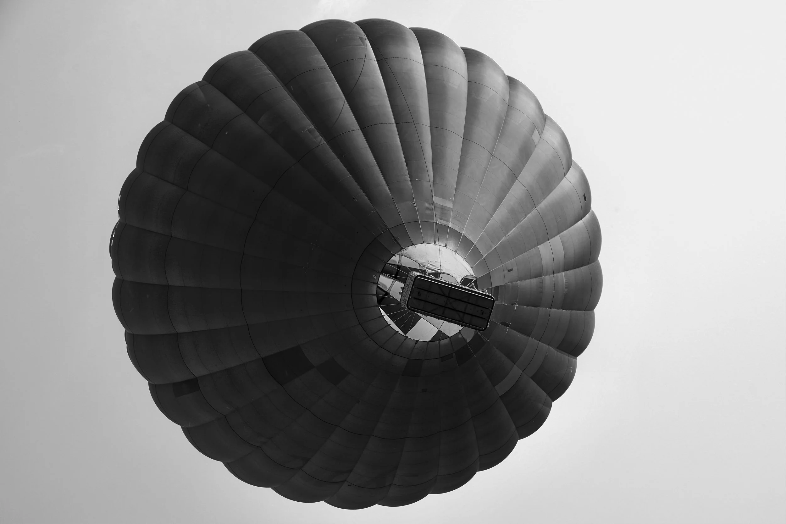 _HGA6772 (1).jpg
