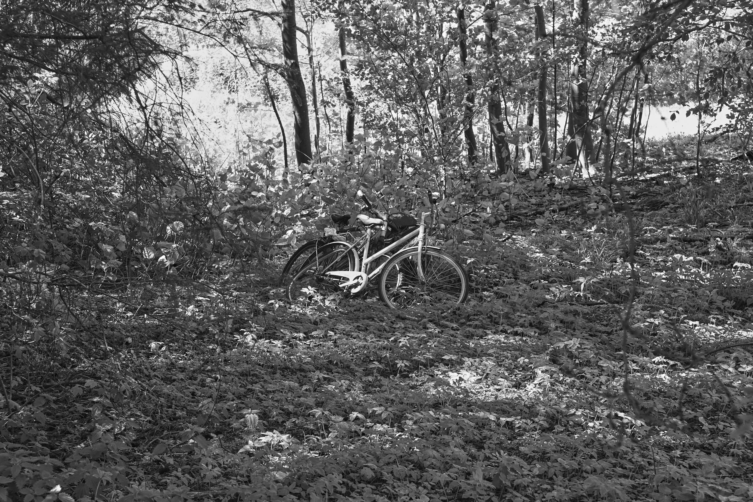 DSC07289web.jpeg