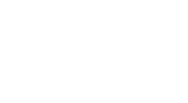 Architecture Solutions Group
