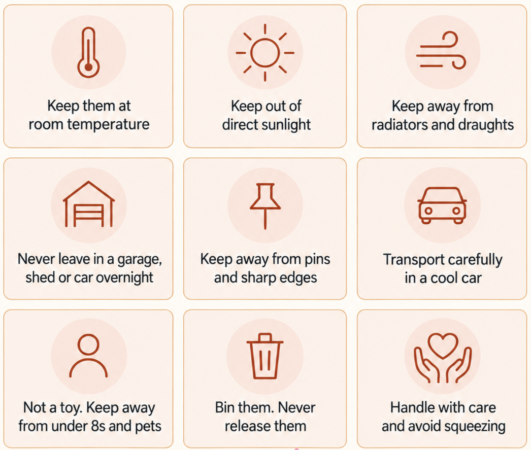 Guidelines for balloon safety and care, including avoiding direct sunlight, keeping away from radiators, and away from children and pets