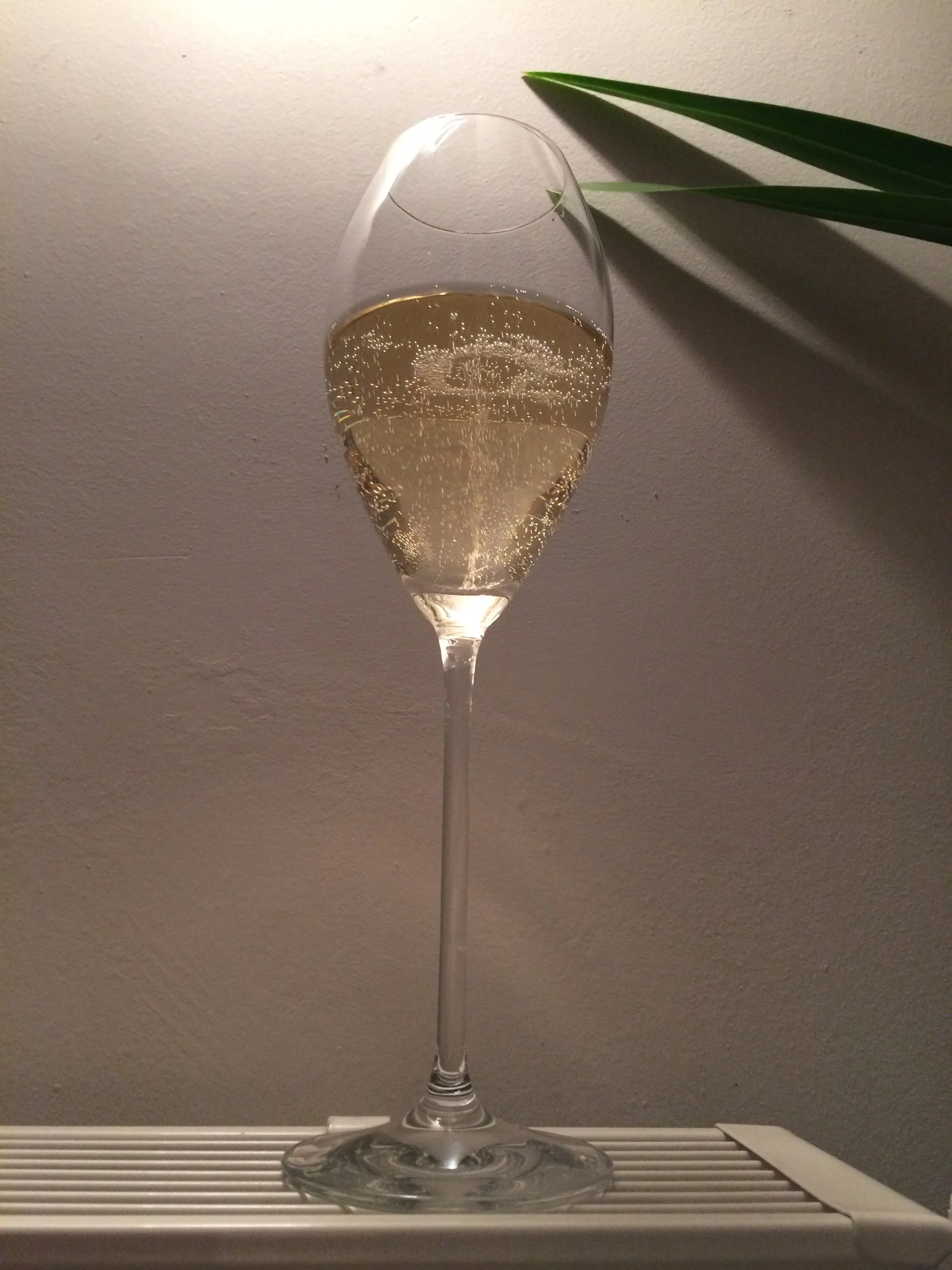 Chardonnay Toverberg oogst 2019
