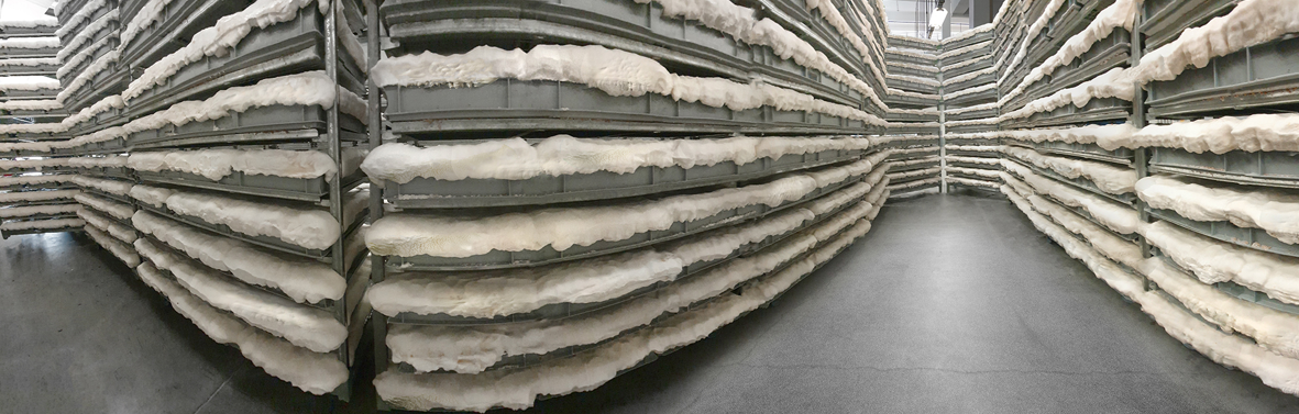 Rows of mycelium-colonized sheets on racks in a production room