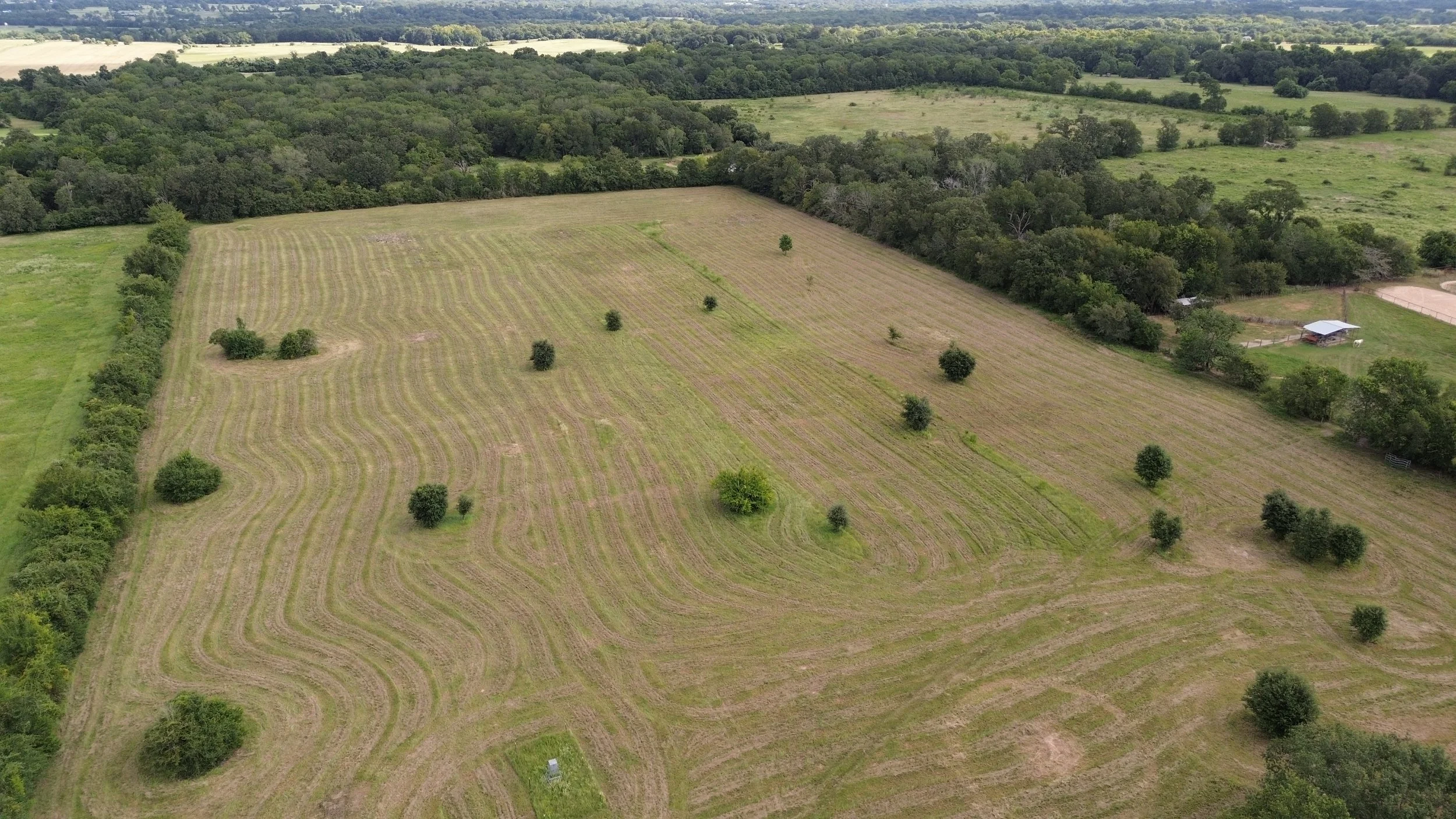 DJI_0051.JPG