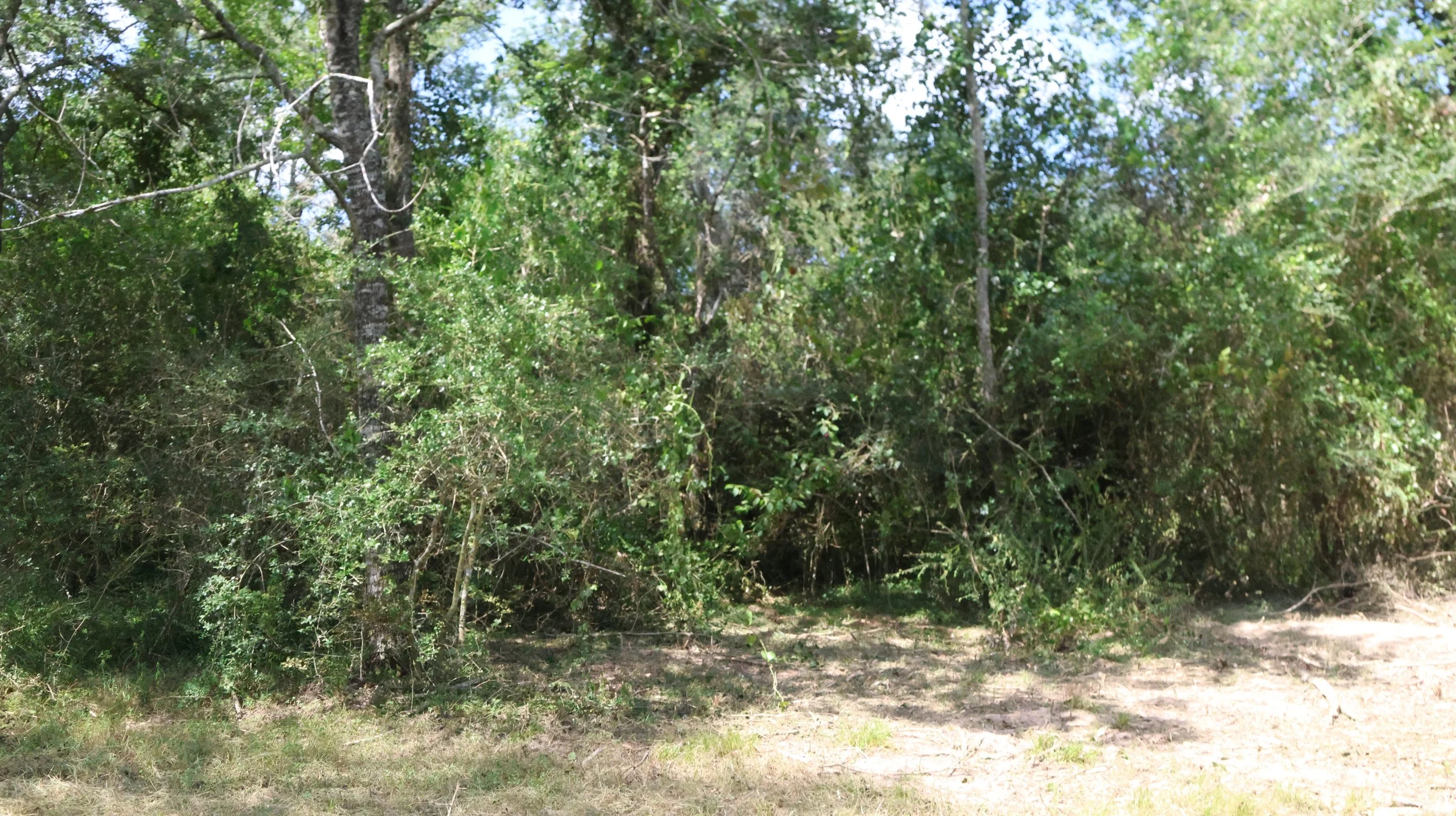 FY7A4303.JPG