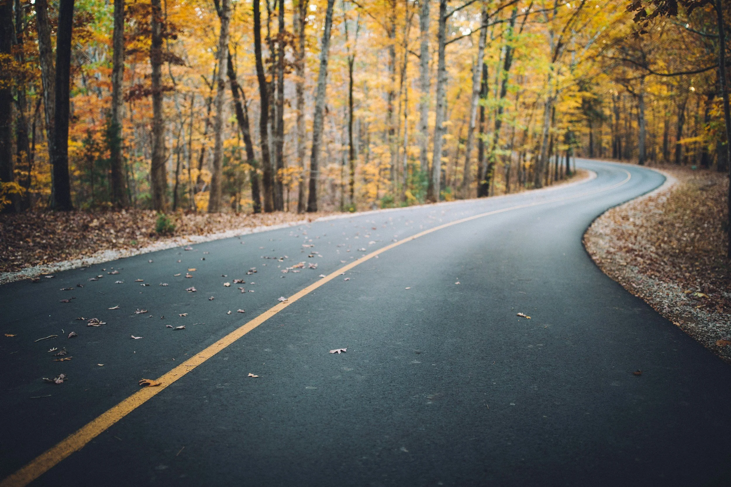 A winding road through a forest with autumn-colored trees, leaves fallen on the road and ground.