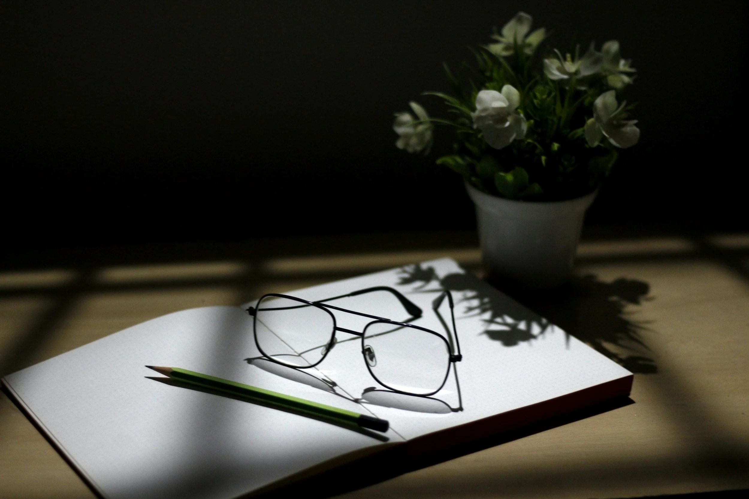 A pair of black-rimmed eyeglasses resting on an open sketchbook with a green and black pencil, with a potted white flower on a dark background.