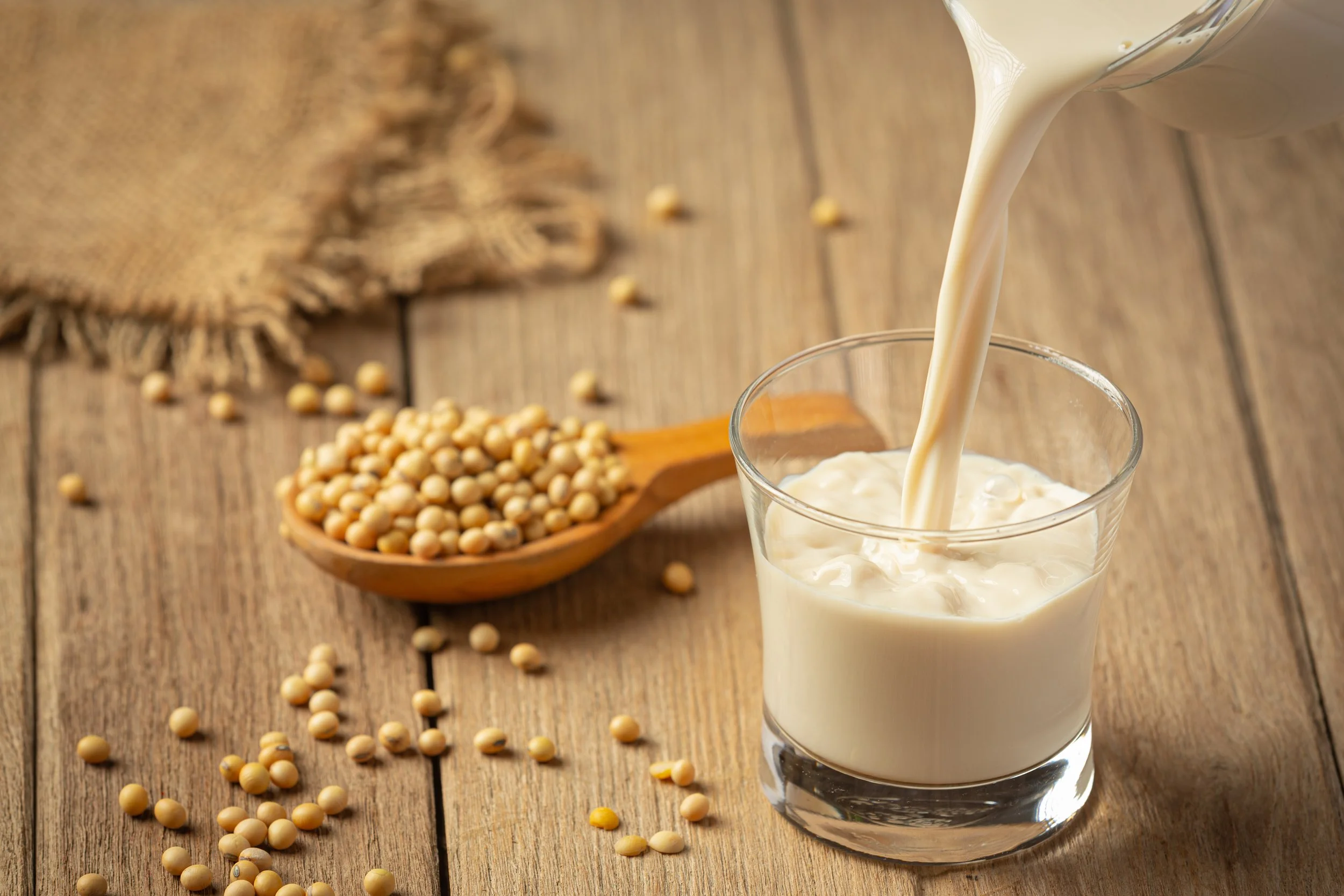 Soy Milk 101