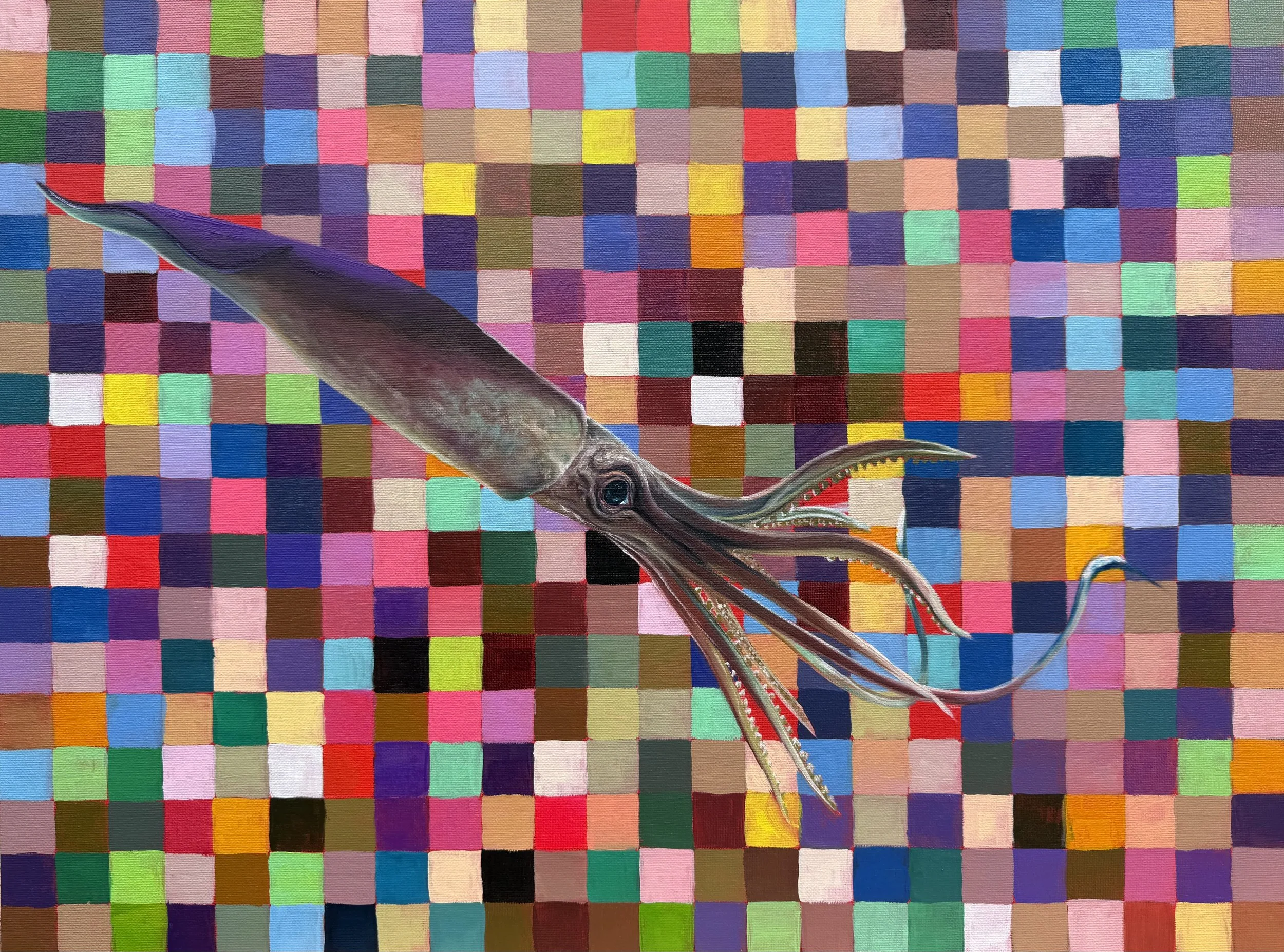 Violet Squid, 2026