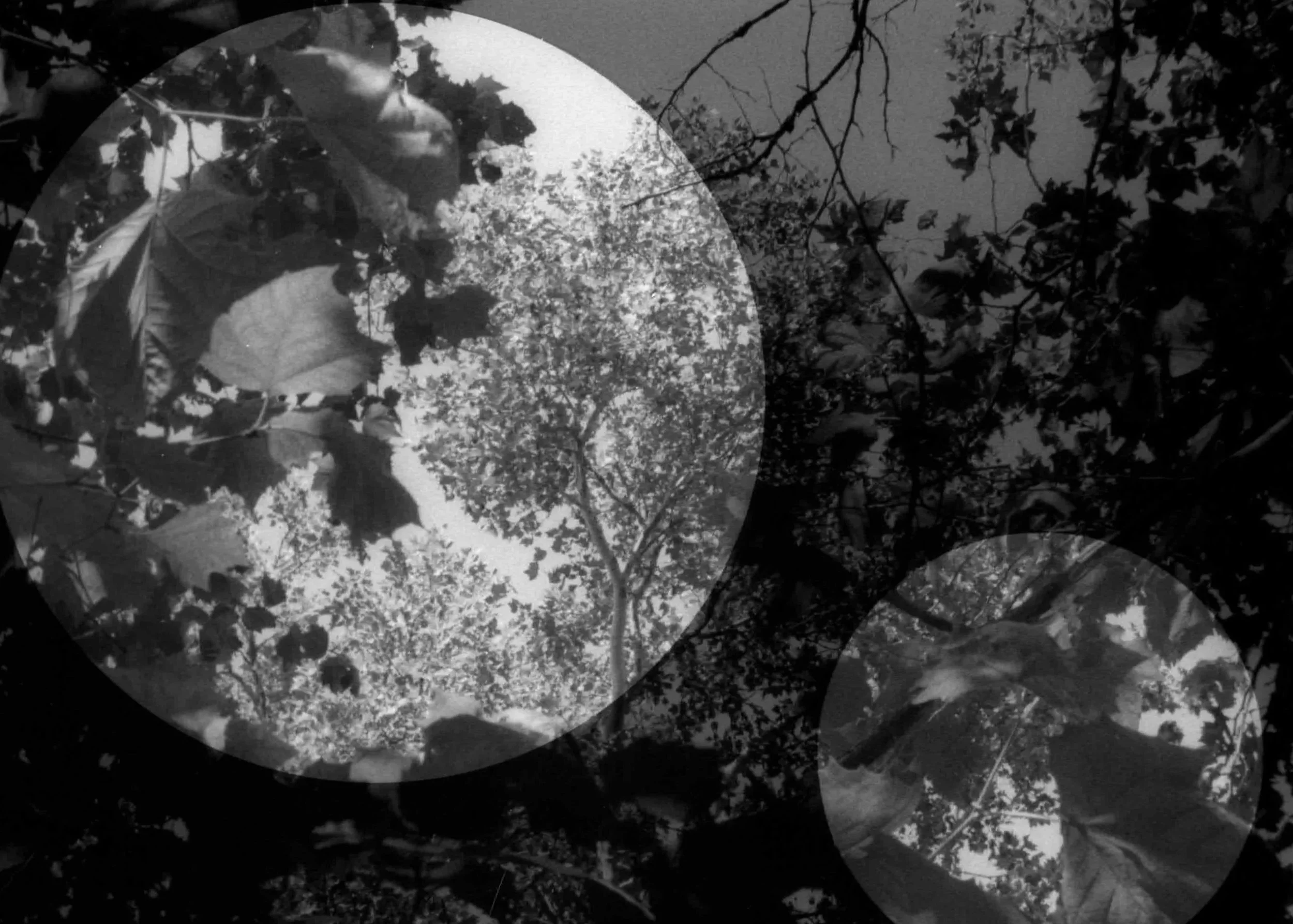 MoonPixLarge.jpg
