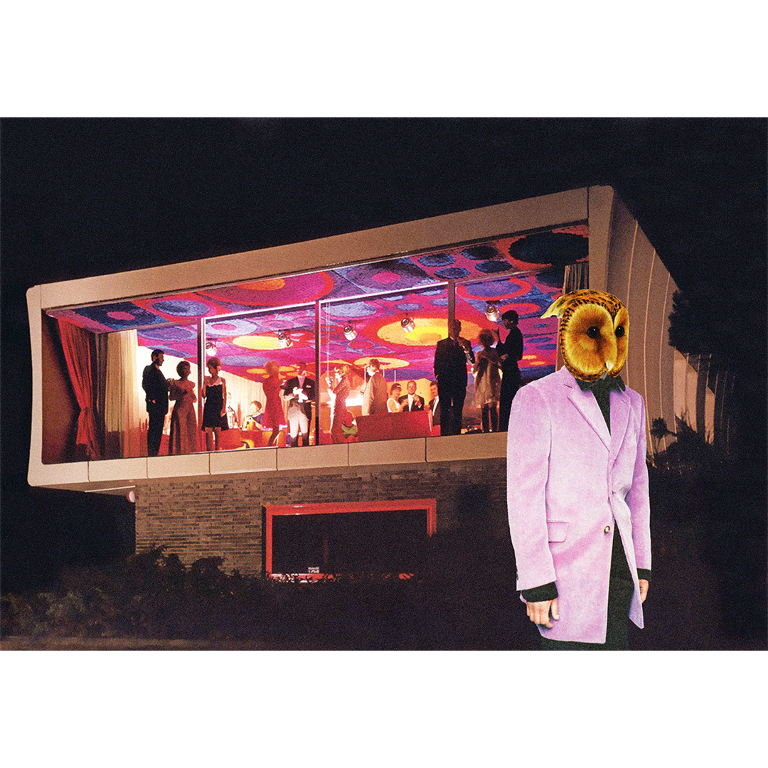 night owl.png